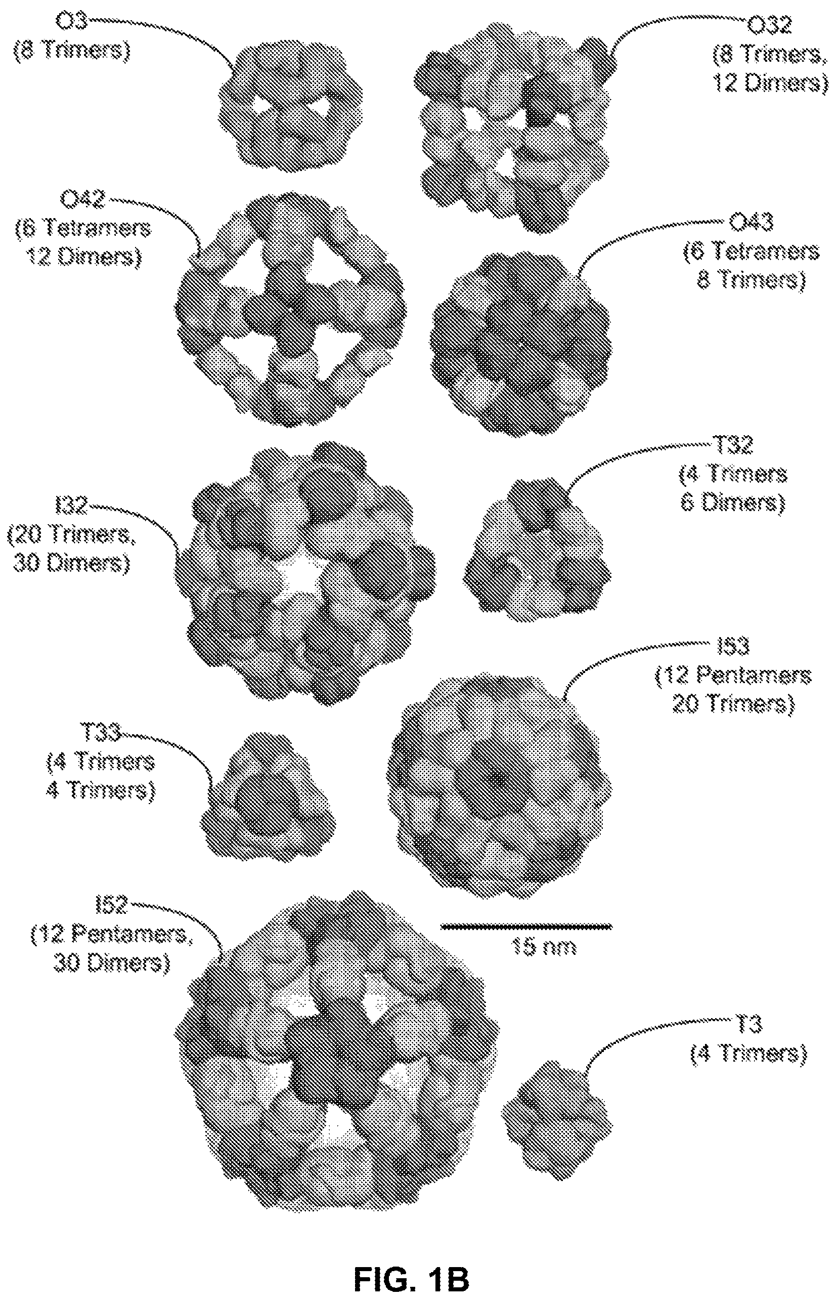 Patent US11771755 Figure 2 – Self-asssembling nanostructure vaccines
