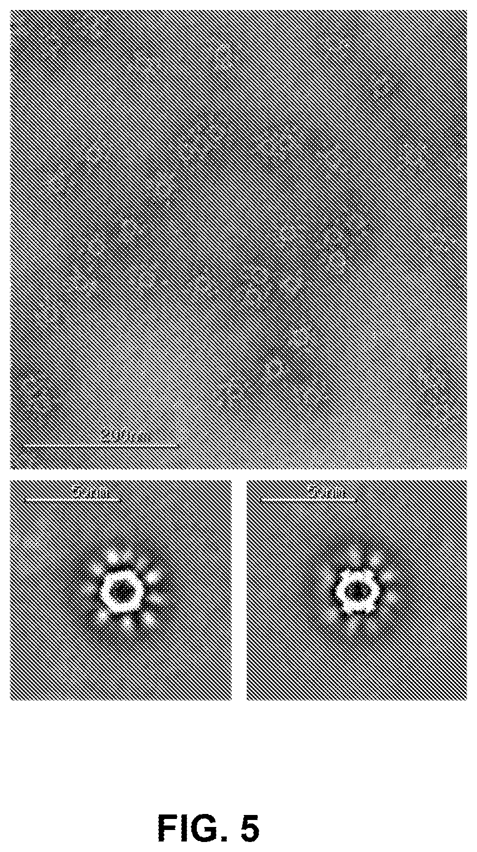 Patent US11771755 Figure 6 – Self-asssembling nanostructure vaccines