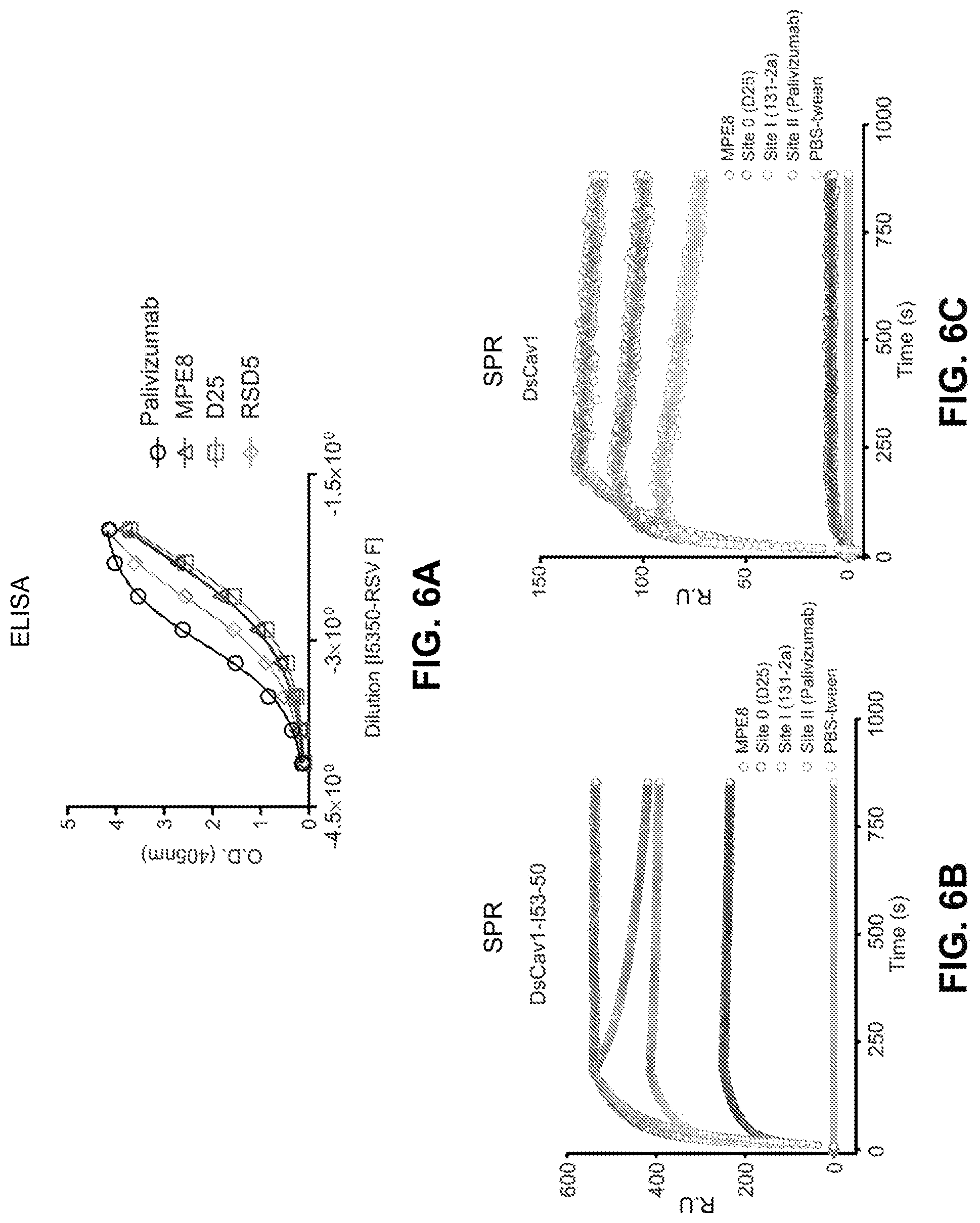 Patent US11771755 Figure 7 – Self-asssembling nanostructure vaccines