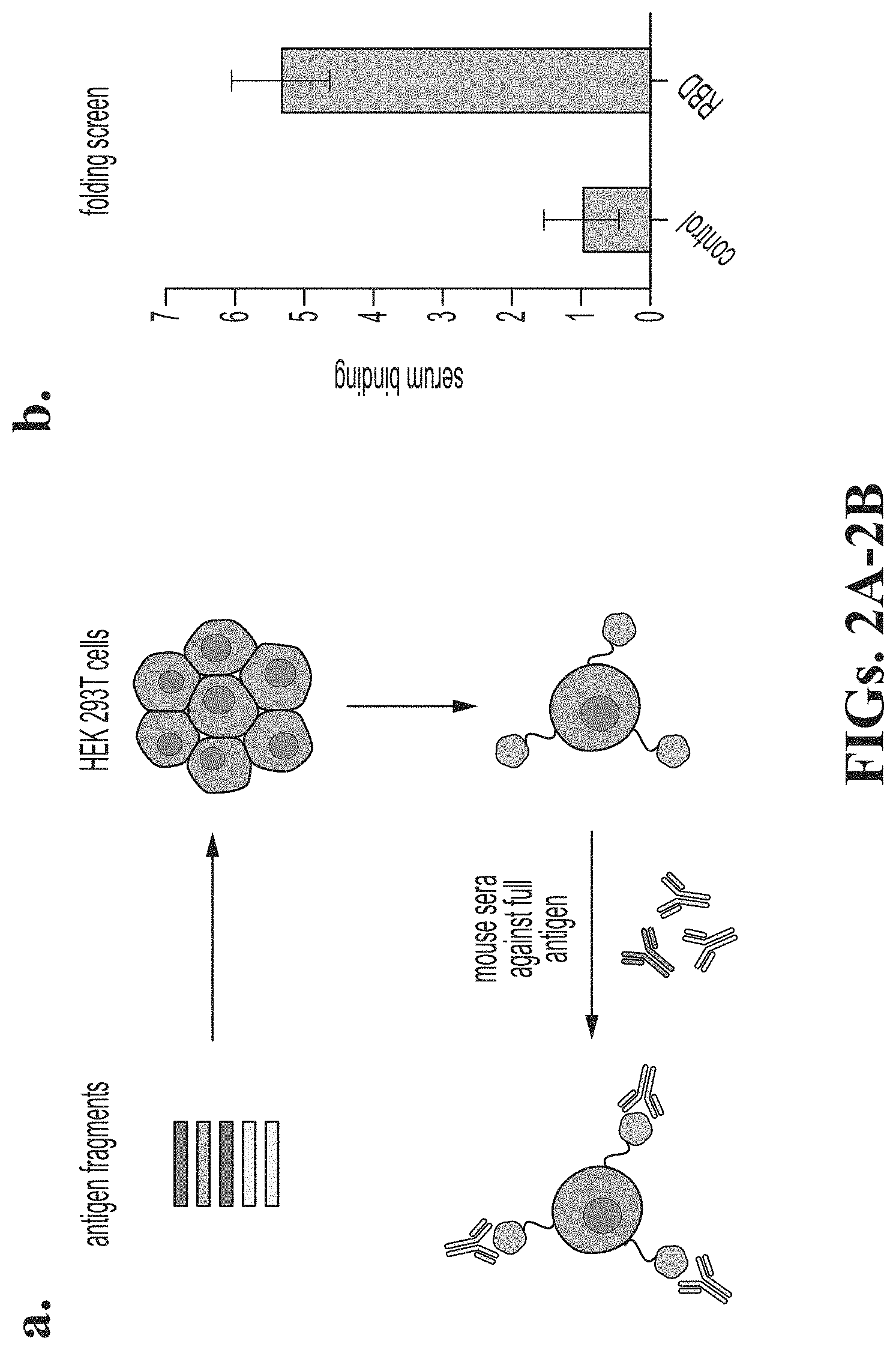 Patent US11771758 Figure 2 – Compositions including SBI adjuvants and methods of use thereof
