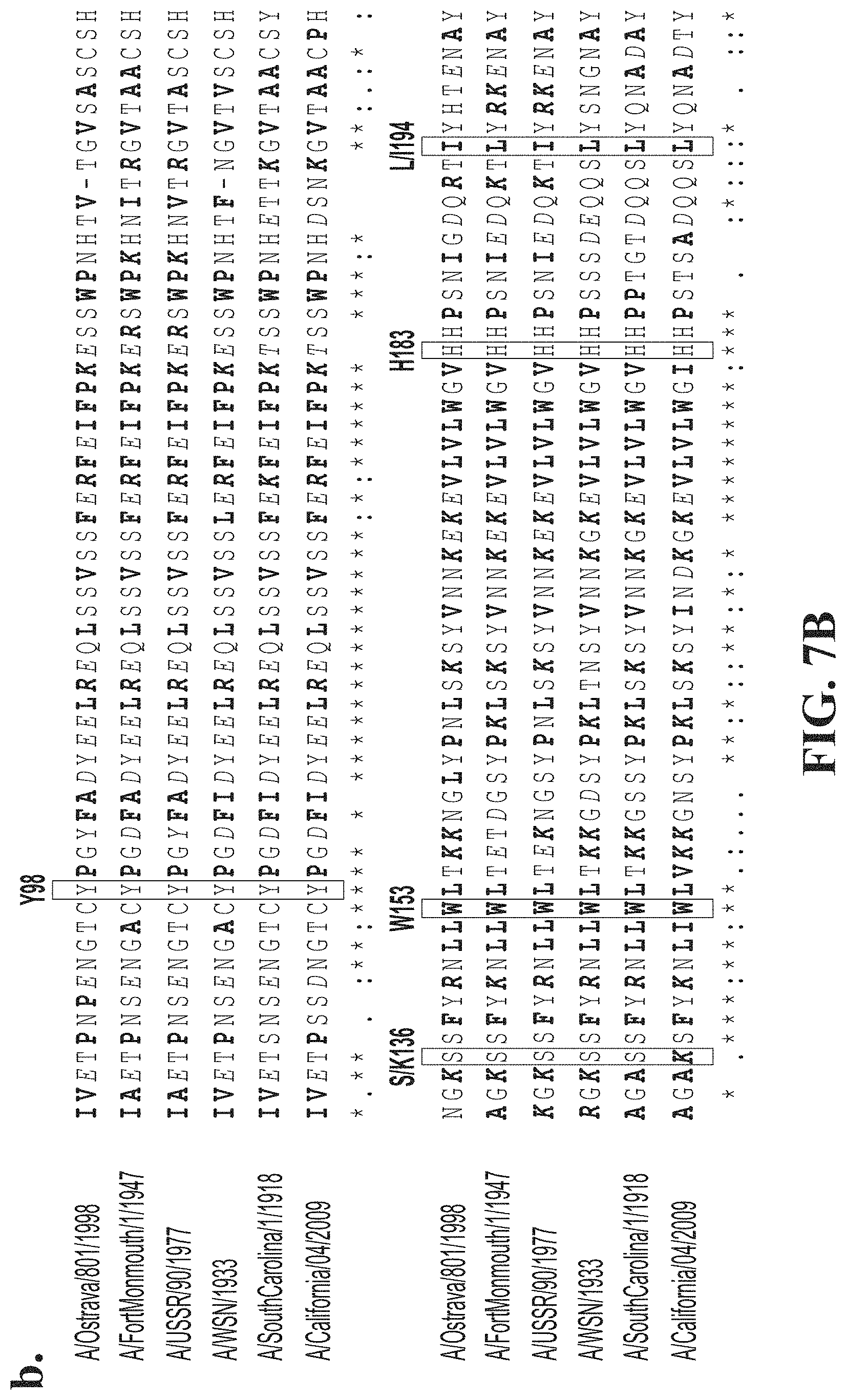 Patent US11771758 Figure 10 – Compositions including SBI adjuvants and methods of use thereof