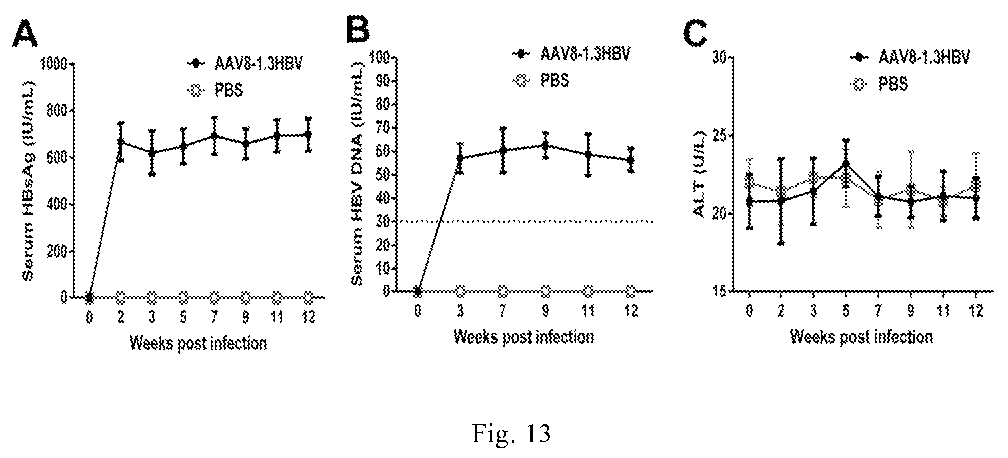 Patent US11771759 Figure 13 – Immunopotentiator, immunotherapeutic pharmaceutical composition and its preparation and use