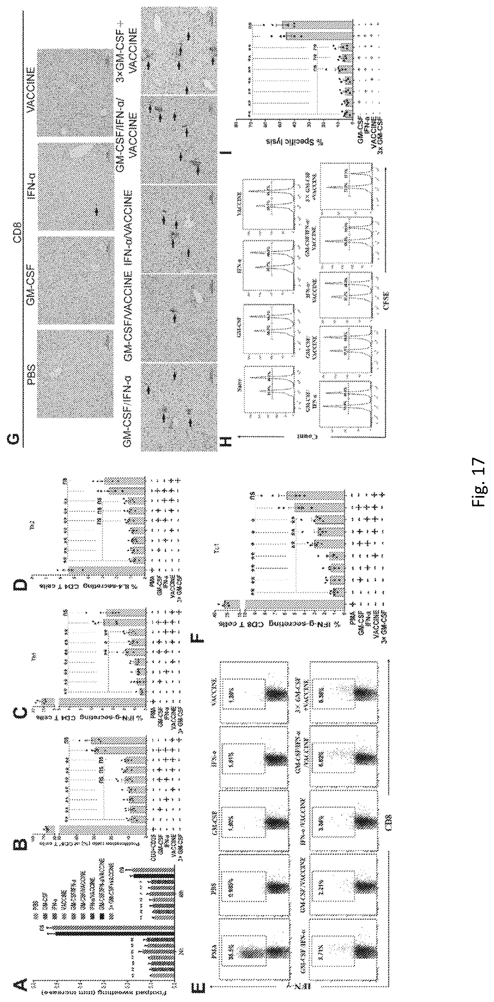 Patent US11771759 Figure 18 – Immunopotentiator, immunotherapeutic pharmaceutical composition and its preparation and use