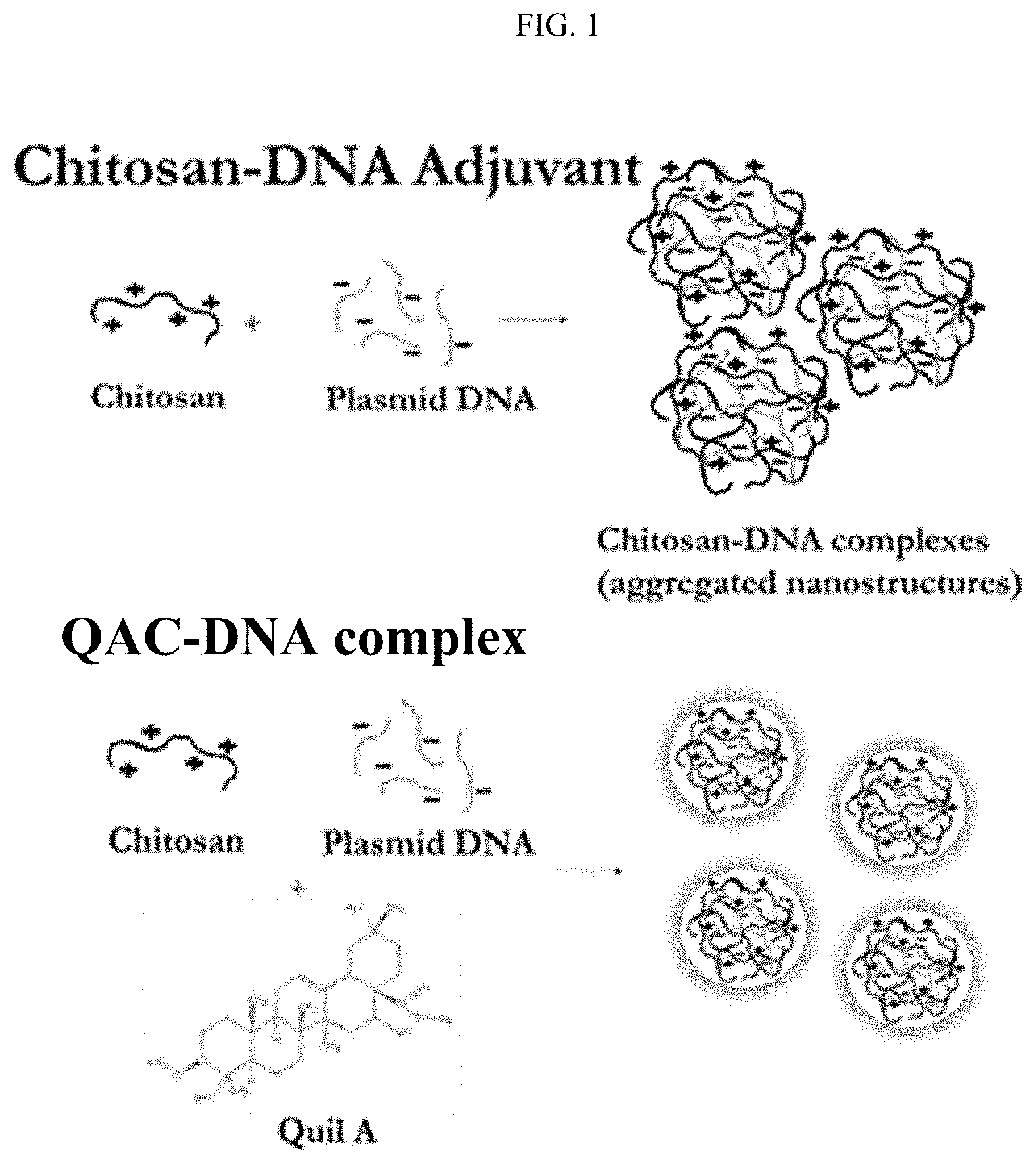Patent US11771761 Figure 1 – Adjuvant for animal and human vaccines