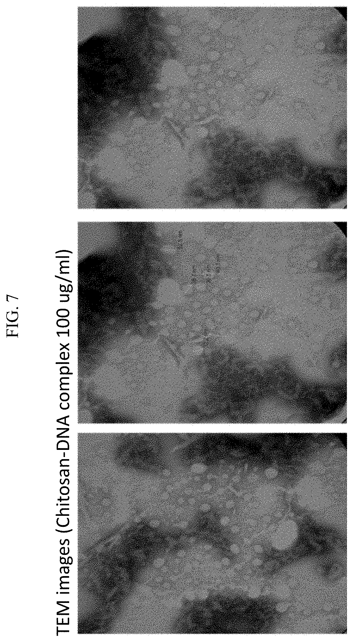 Patent US11771761 Figure 12 – Adjuvant for animal and human vaccines