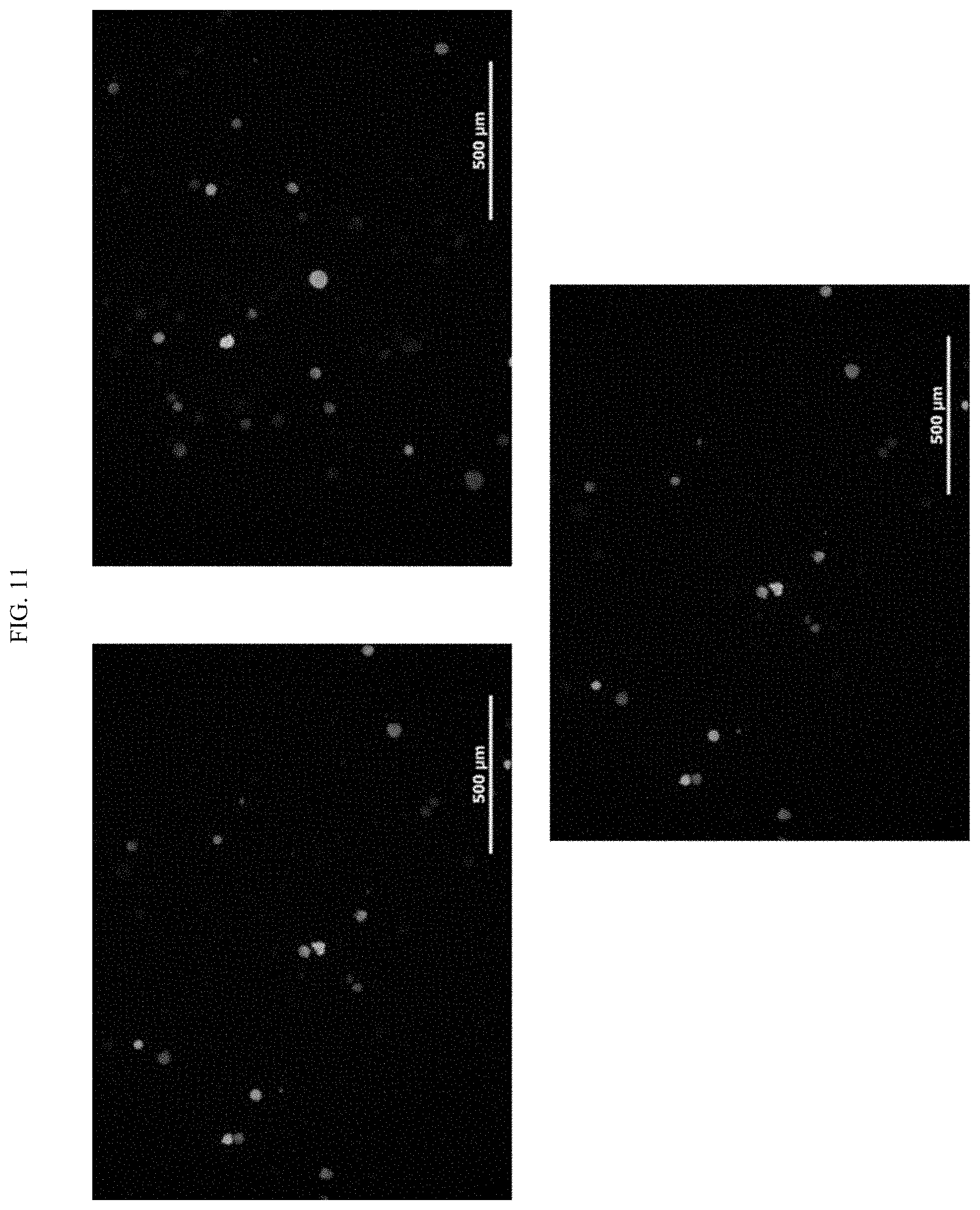 Patent US11771761 Figure 17 – Adjuvant for animal and human vaccines
