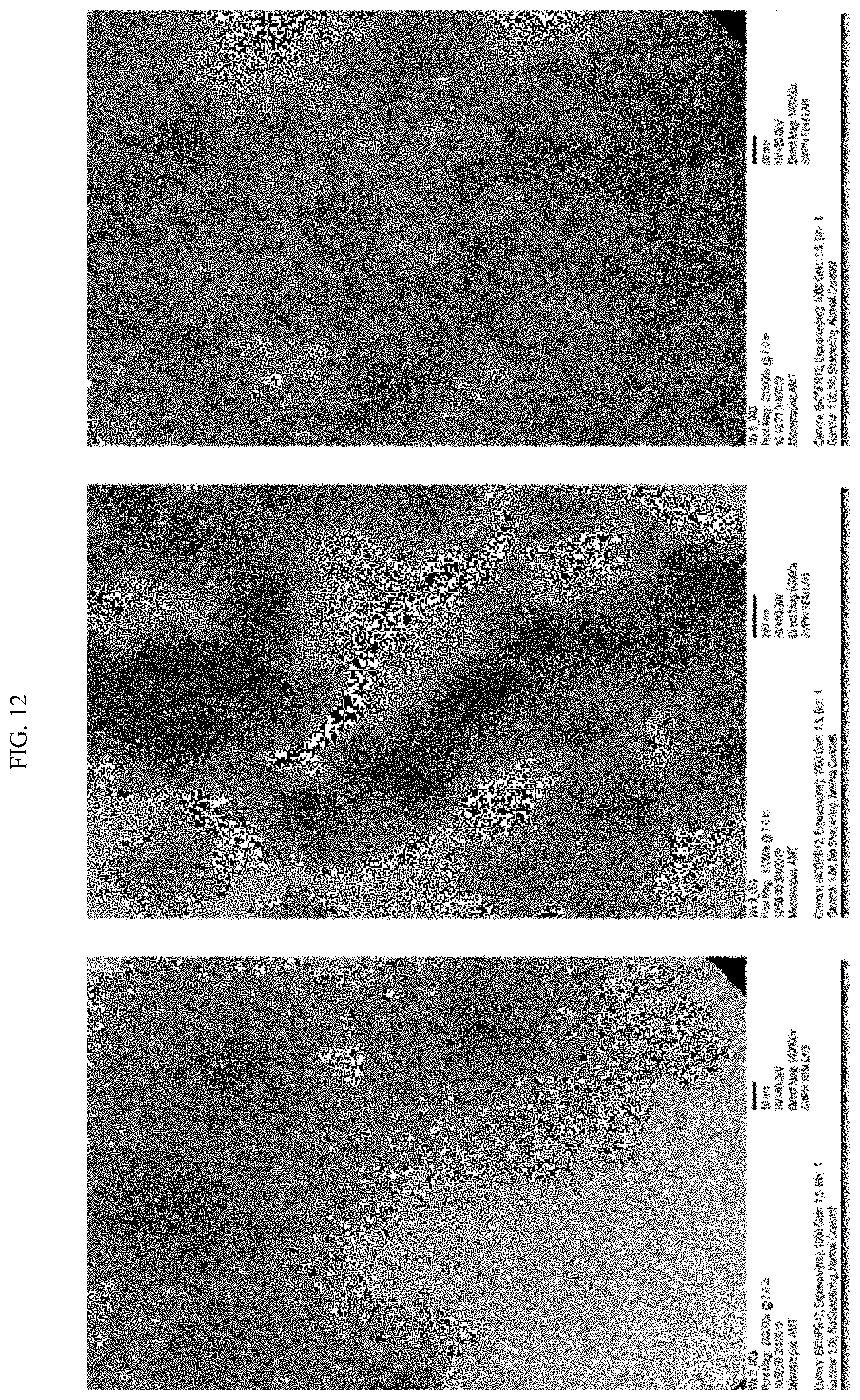 Patent US11771761 Figure 18 – Adjuvant for animal and human vaccines