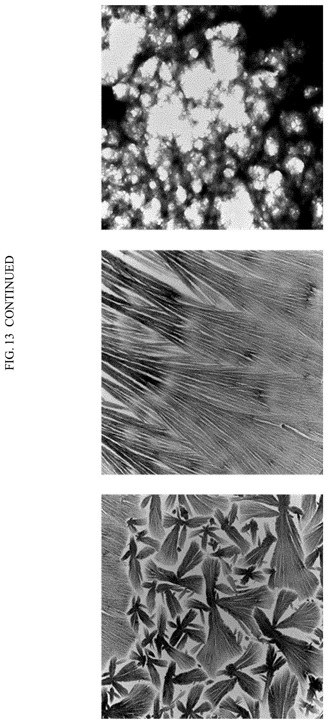 Patent US11771761 Figure 20 – Adjuvant for animal and human vaccines