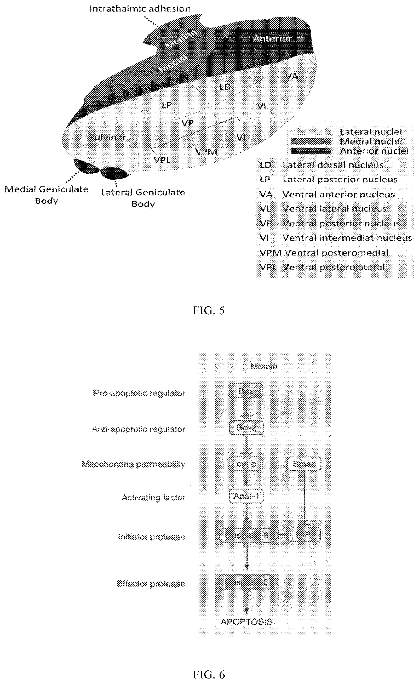 Patent US11771763 Figure 3 – Methods and compositions for decreasing chronic pain