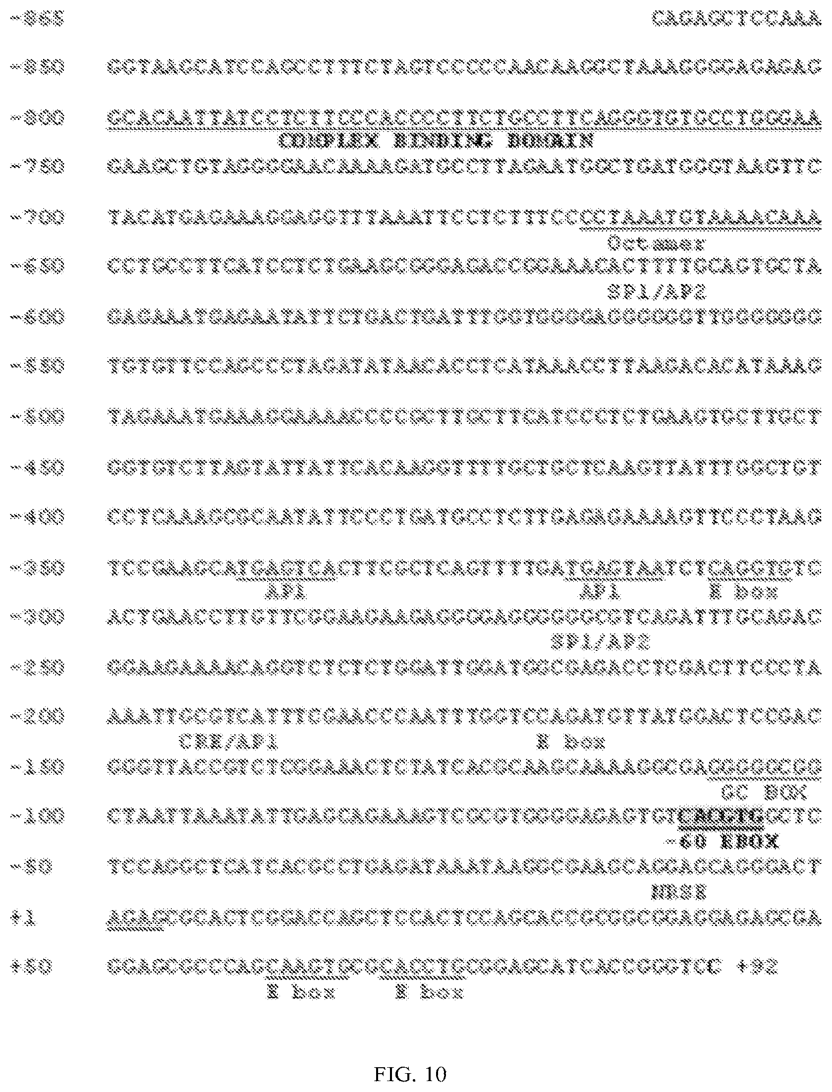 Patent US11771763 Figure 7 – Methods and compositions for decreasing chronic pain