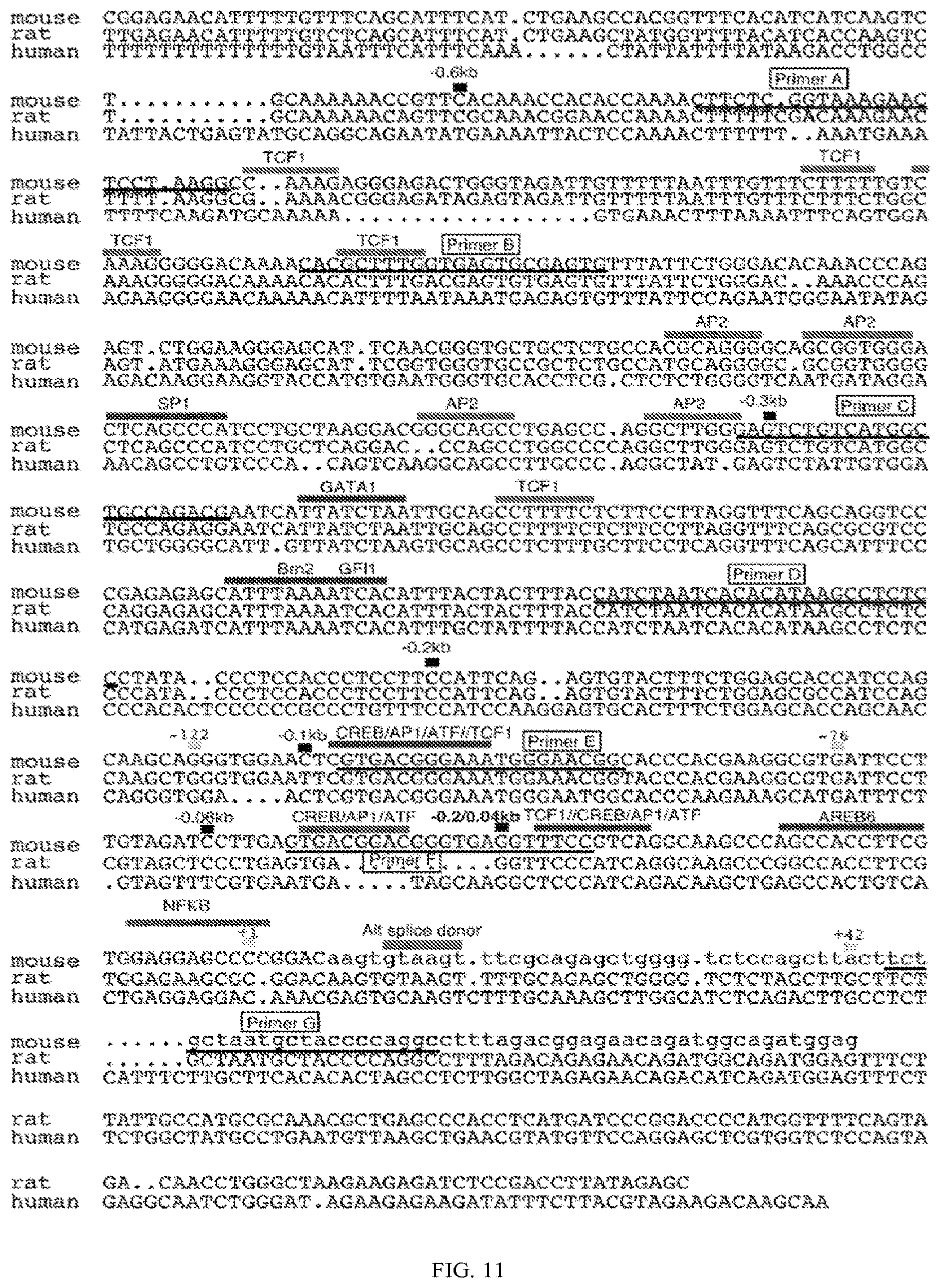 Patent US11771763 Figure 8 – Methods and compositions for decreasing chronic pain