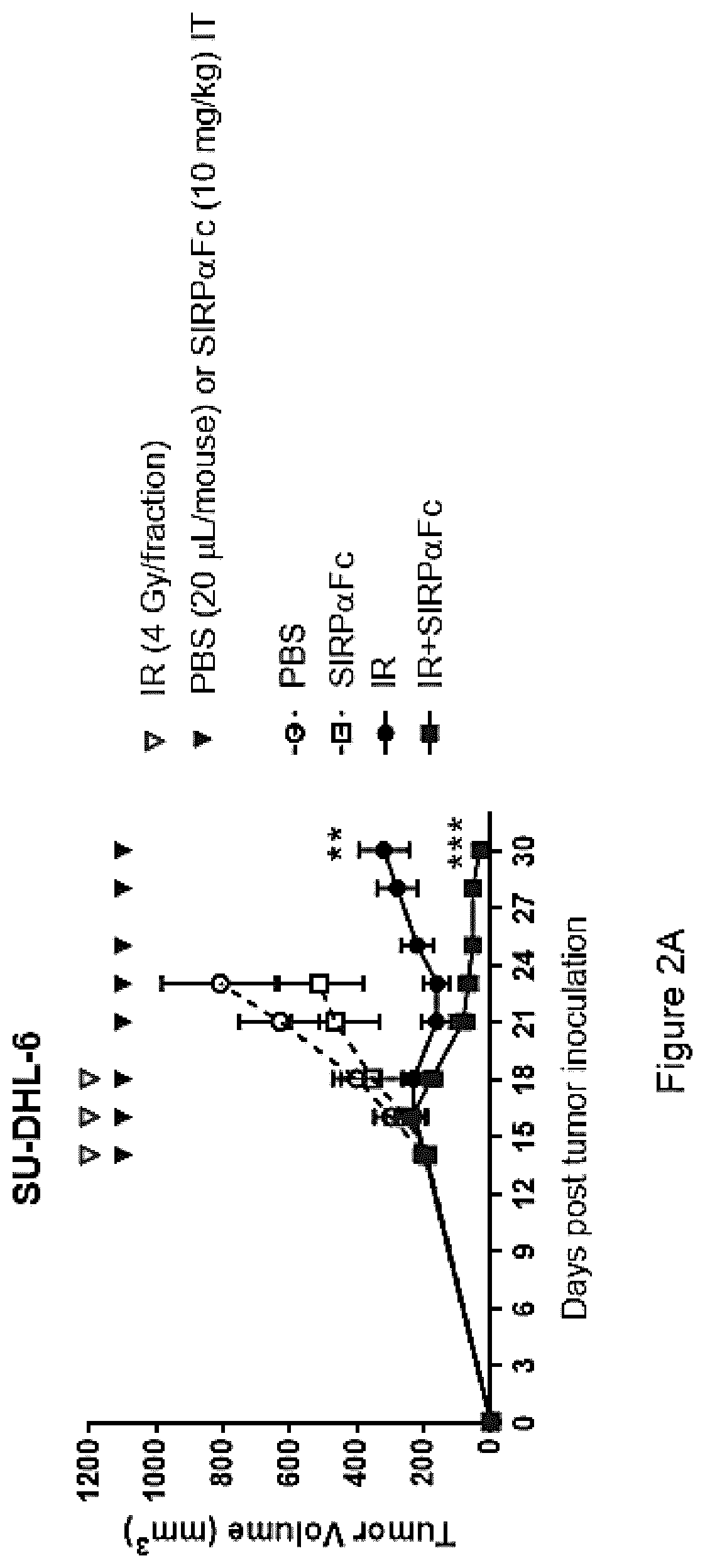 Patent US11771764 Figure 2 – CD47 blockade with radiation therapy
