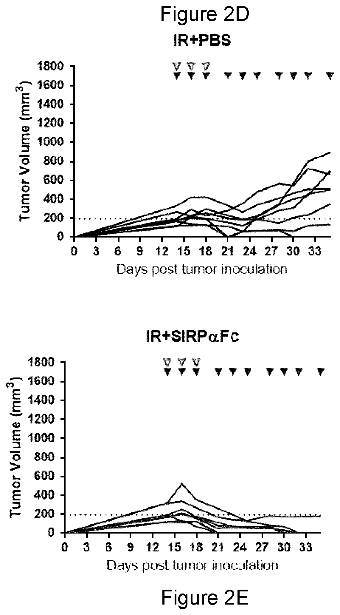 Patent US11771764 Figure 4 – CD47 blockade with radiation therapy