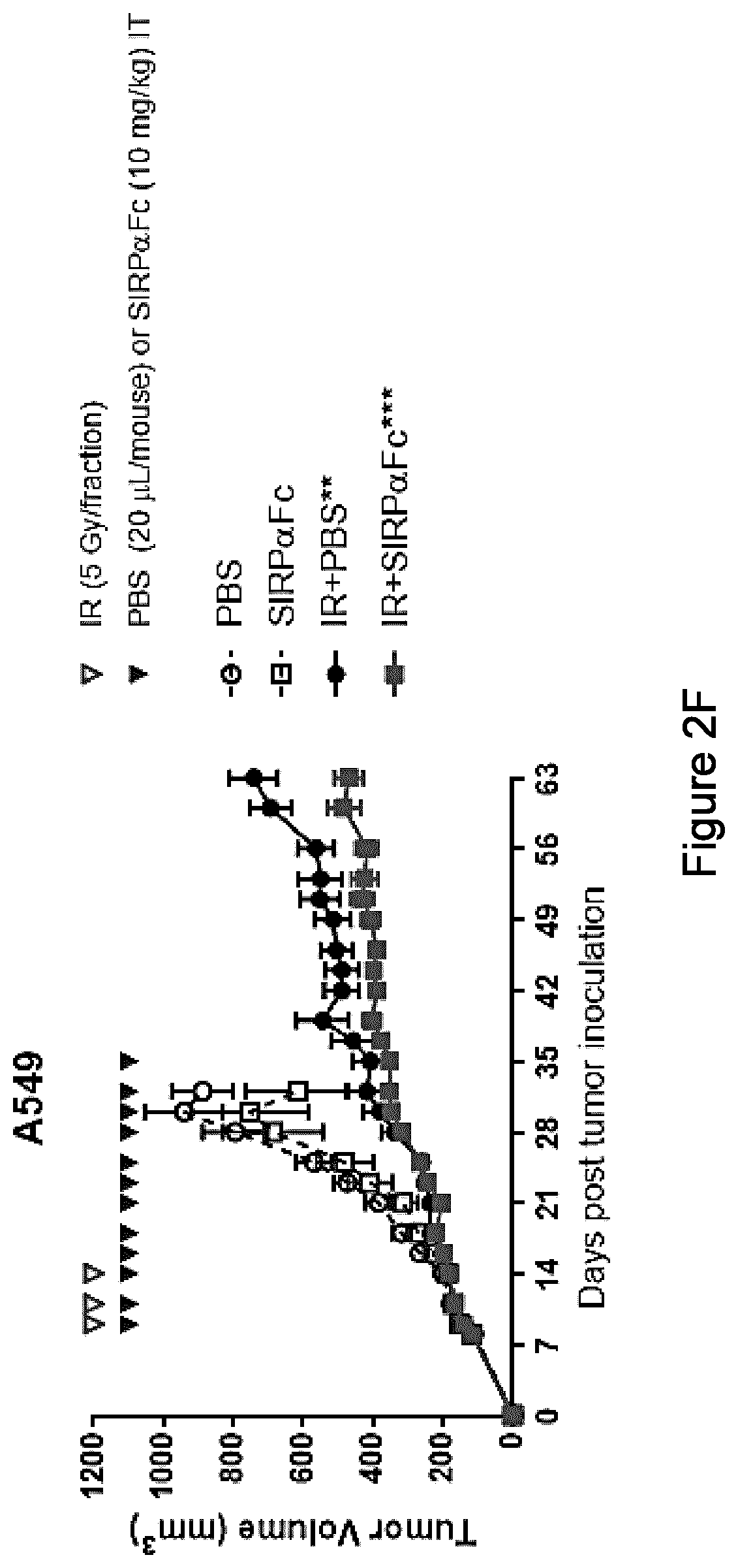 Patent US11771764 Figure 5 – CD47 blockade with radiation therapy