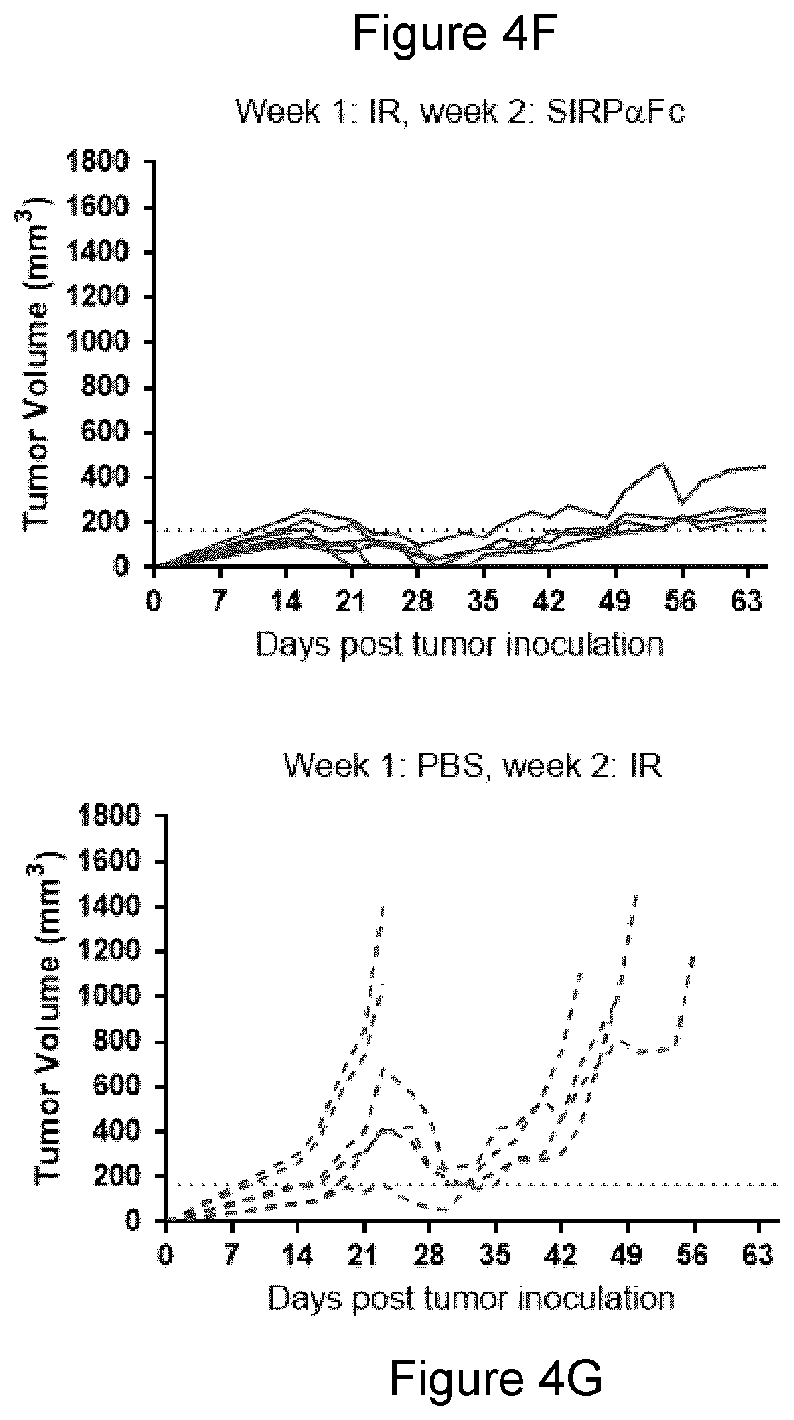 Patent US11771764 Figure 12 – CD47 blockade with radiation therapy