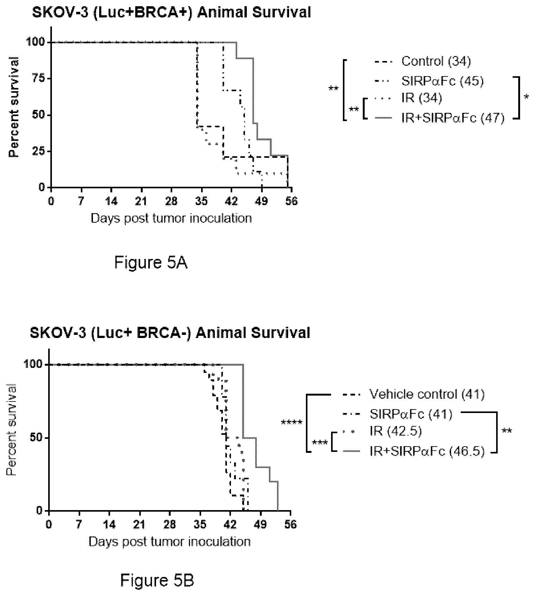 Patent US11771764 Figure 14 – CD47 blockade with radiation therapy