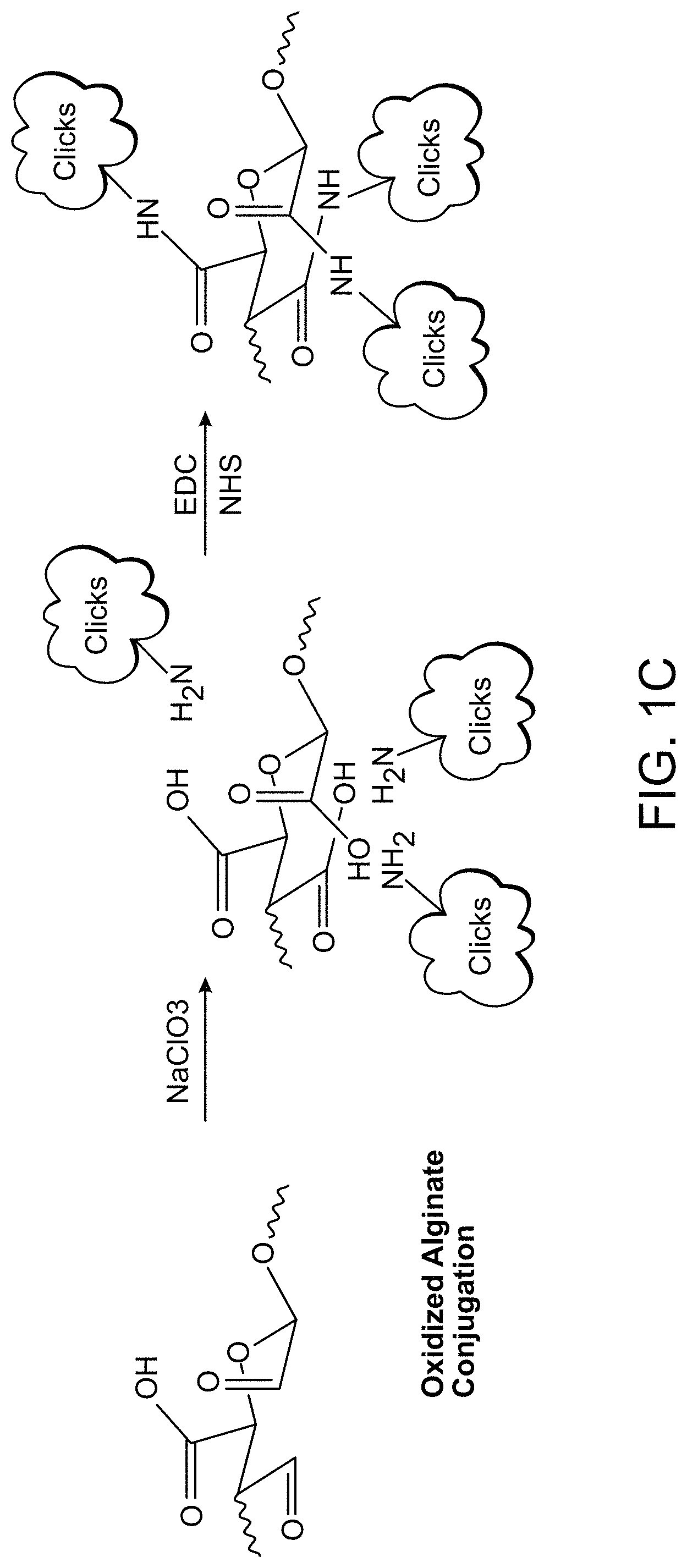 Patent US11771767 Figure 2 – Reduced and oxidized polysaccharides and methods of use thereof