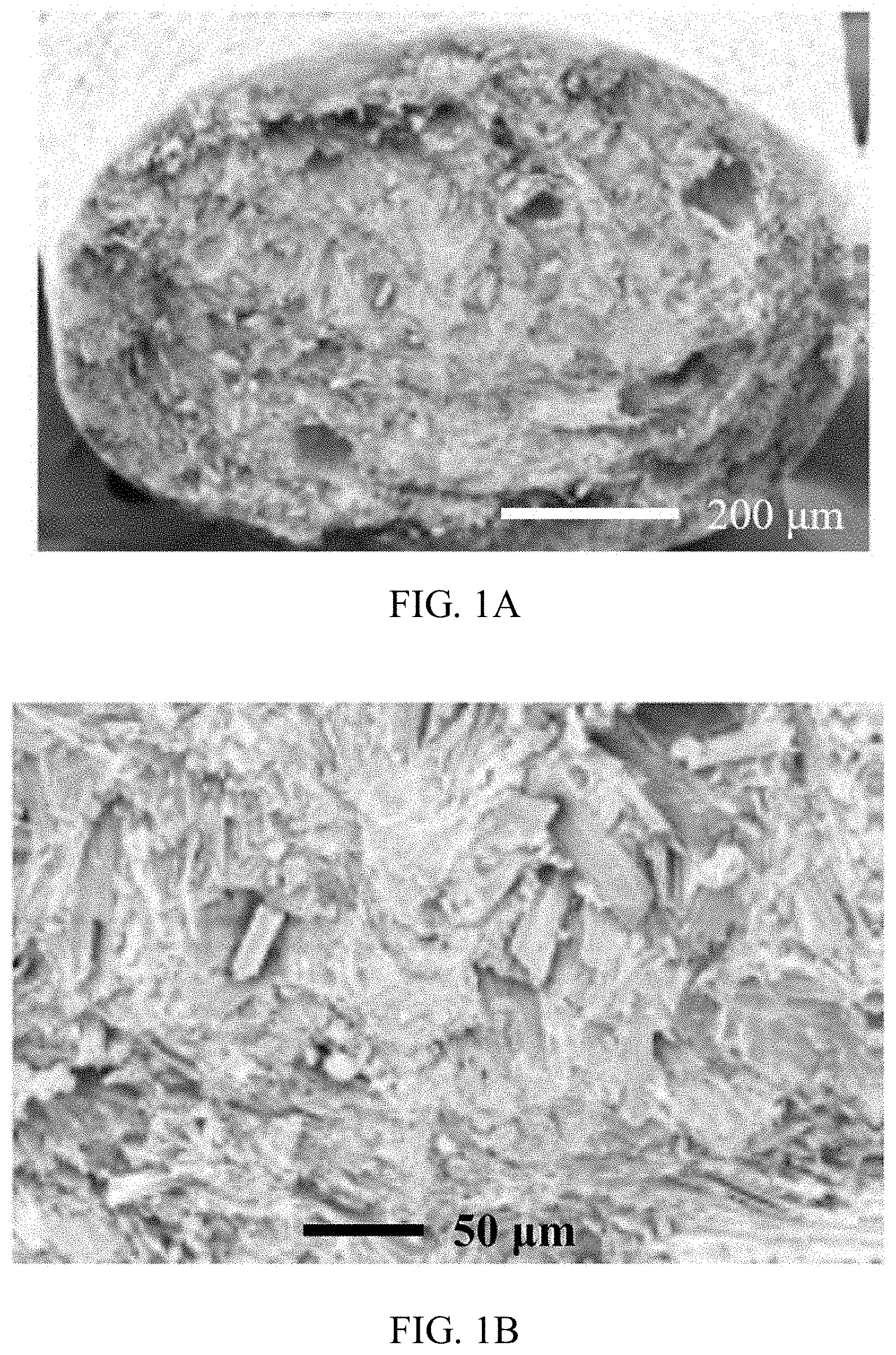 Patent US11771769 Figure 1 – Ocular applications of silk-based products