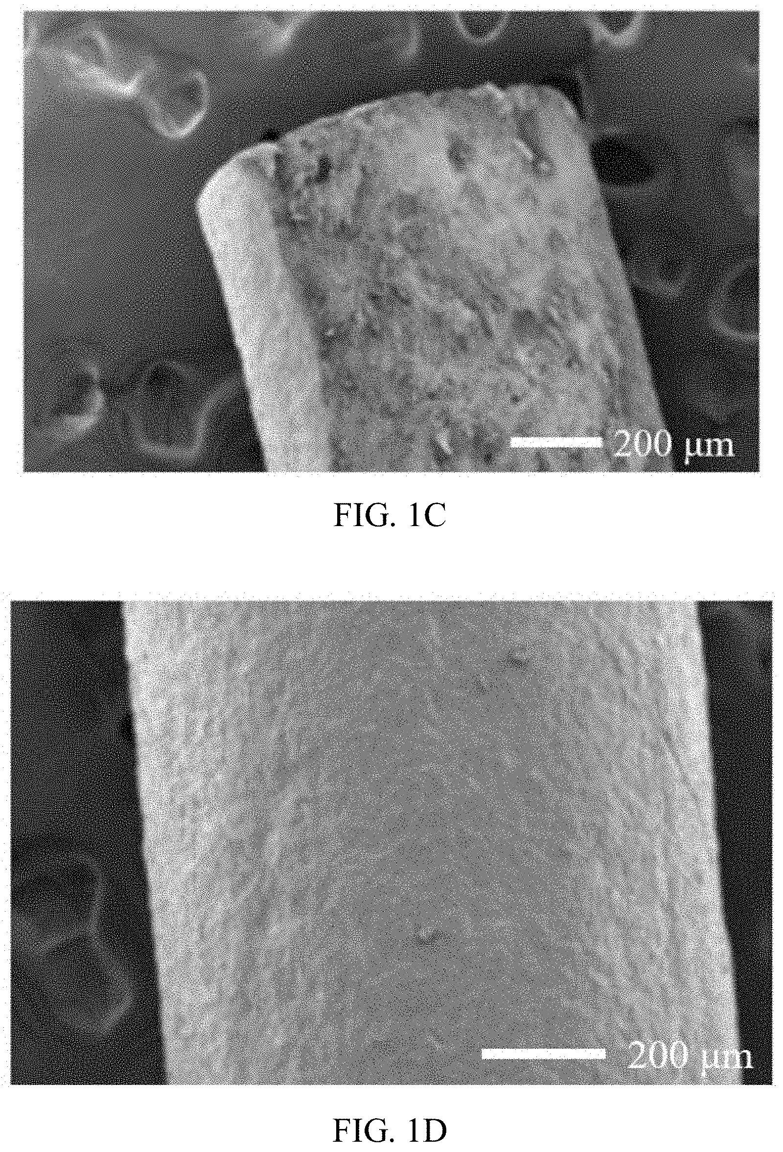 Patent US11771769 Figure 2 – Ocular applications of silk-based products