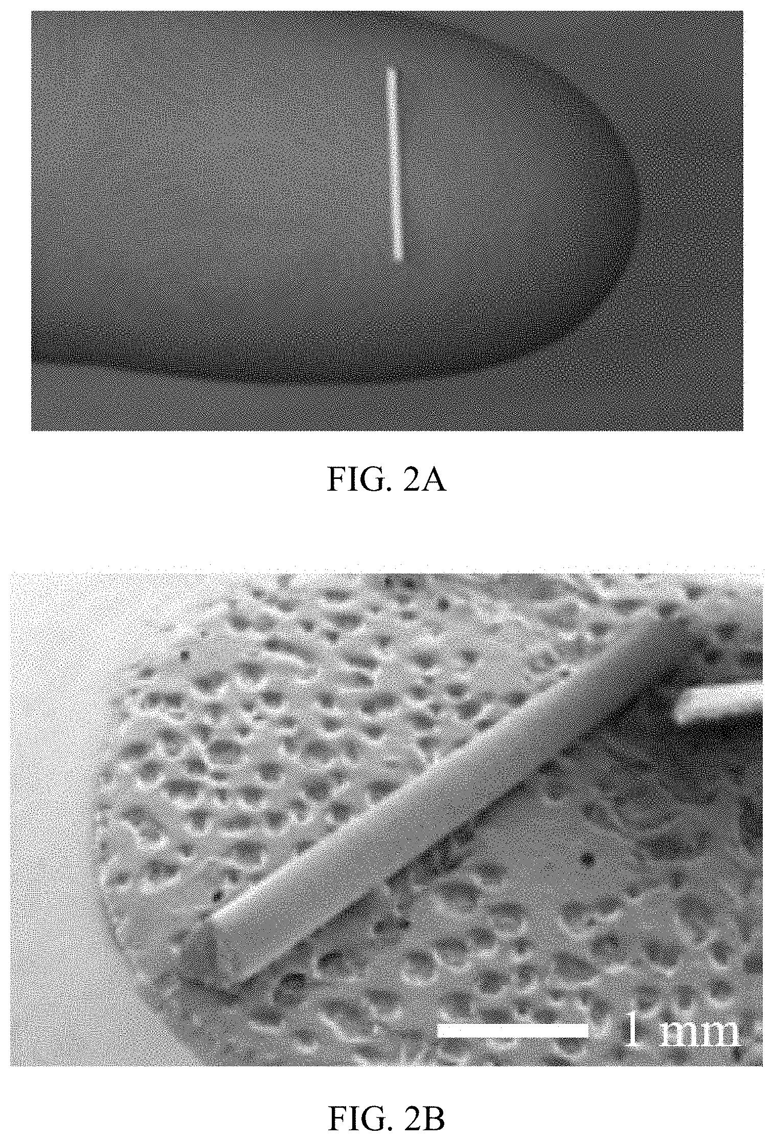 Patent US11771769 Figure 3 – Ocular applications of silk-based products