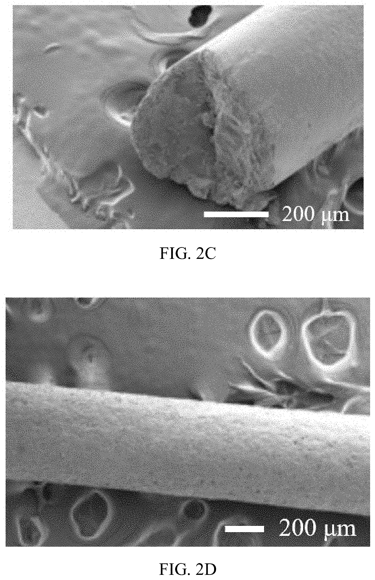 Patent US11771769 Figure 4 – Ocular applications of silk-based products