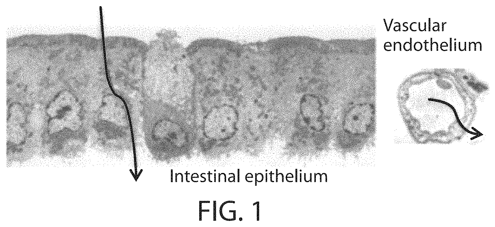 Patent US11771771 — Ceramide-like lipid-based delivery vehicles and uses thereof — Figure 1