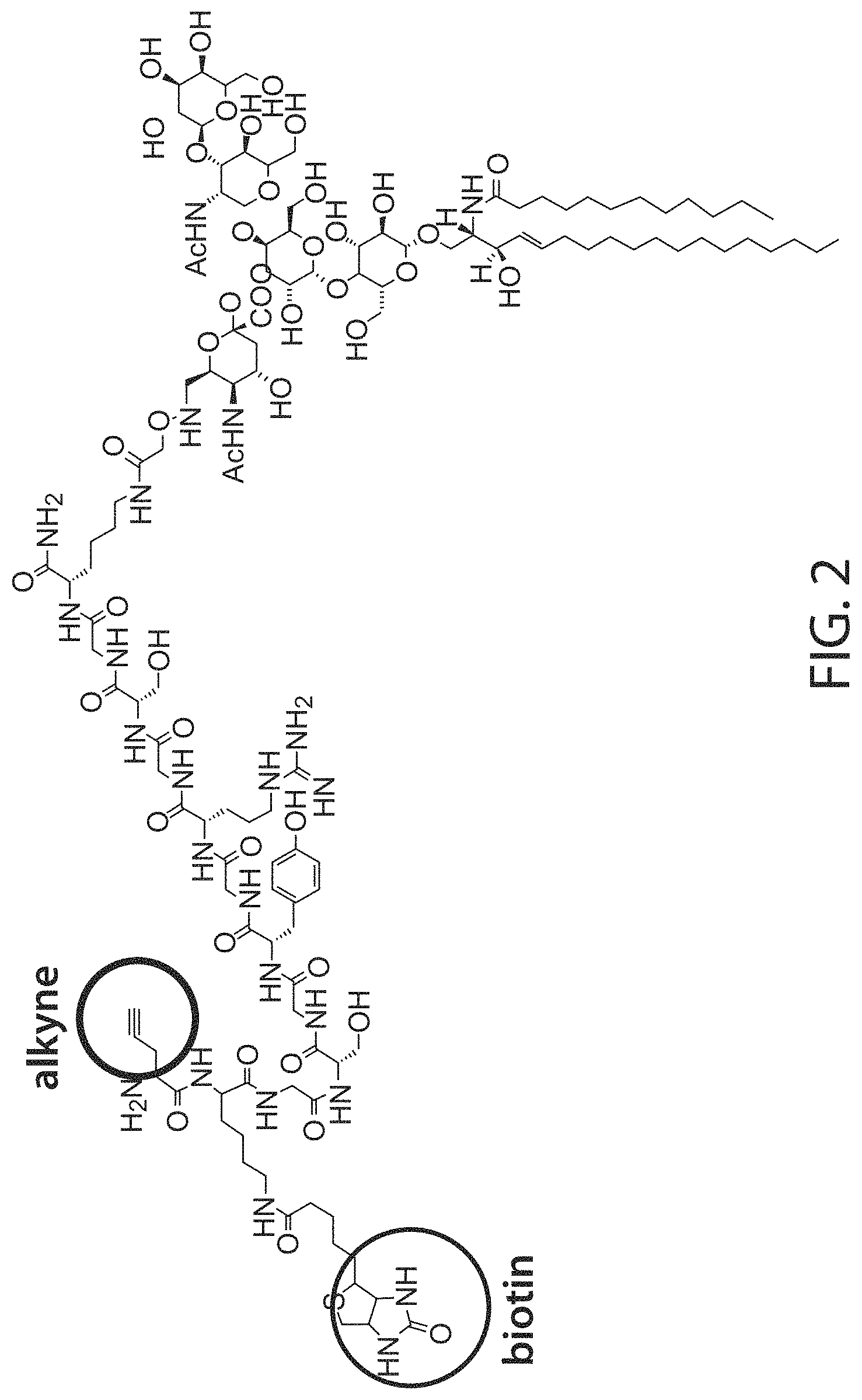 Patent US11771771 Figure 2 – Ceramide-like lipid-based delivery vehicles and uses thereof