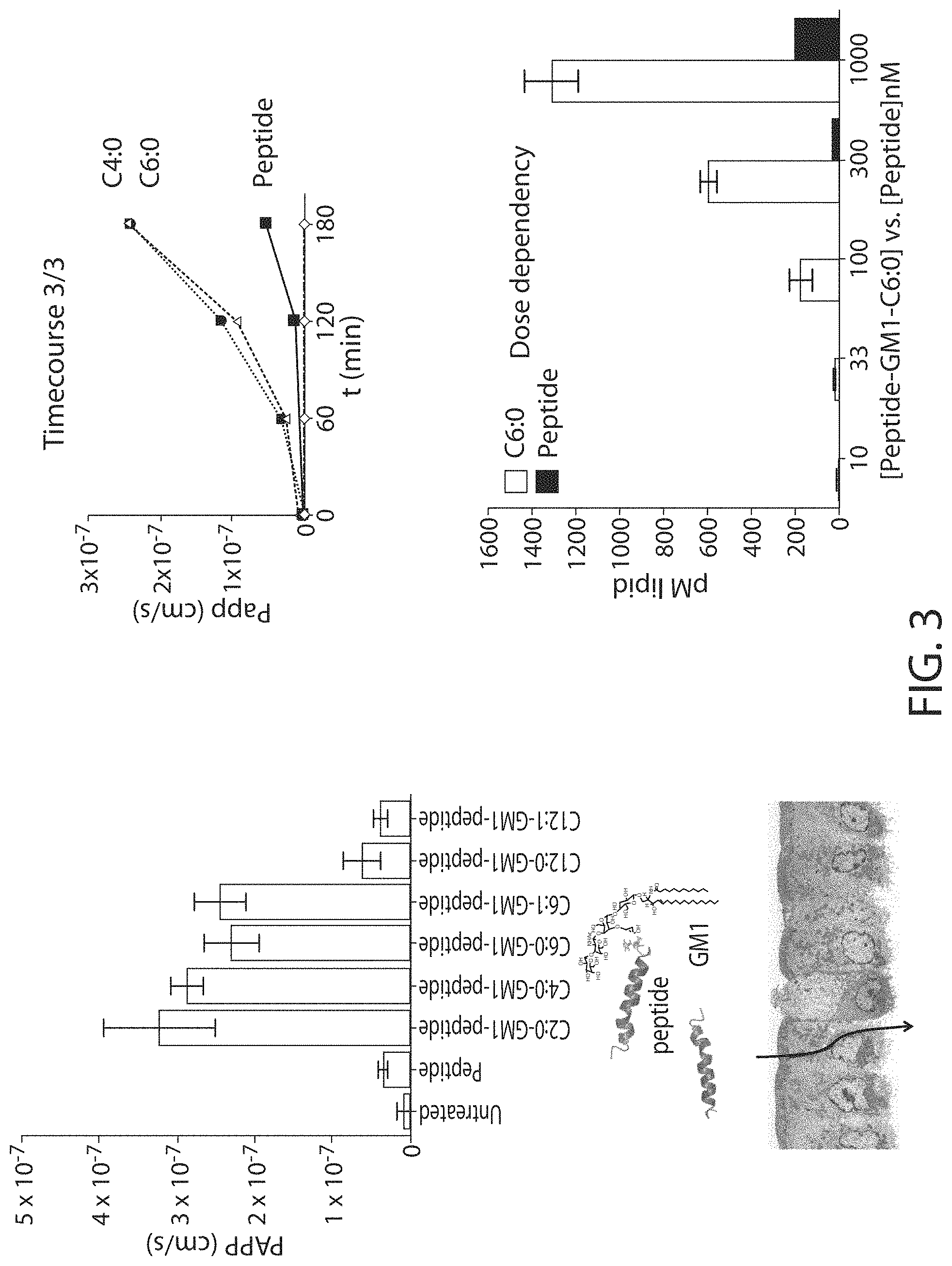 Patent US11771771 Figure 4 – Ceramide-like lipid-based delivery vehicles and uses thereof