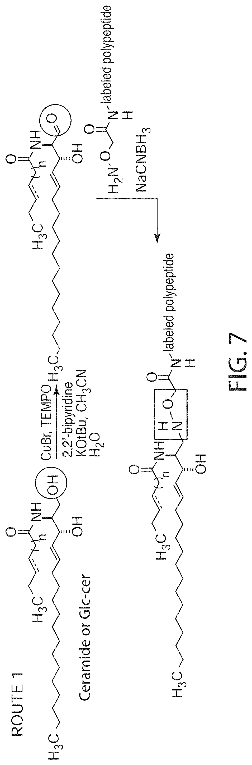 Patent US11771771 Figure 9 – Ceramide-like lipid-based delivery vehicles and uses thereof