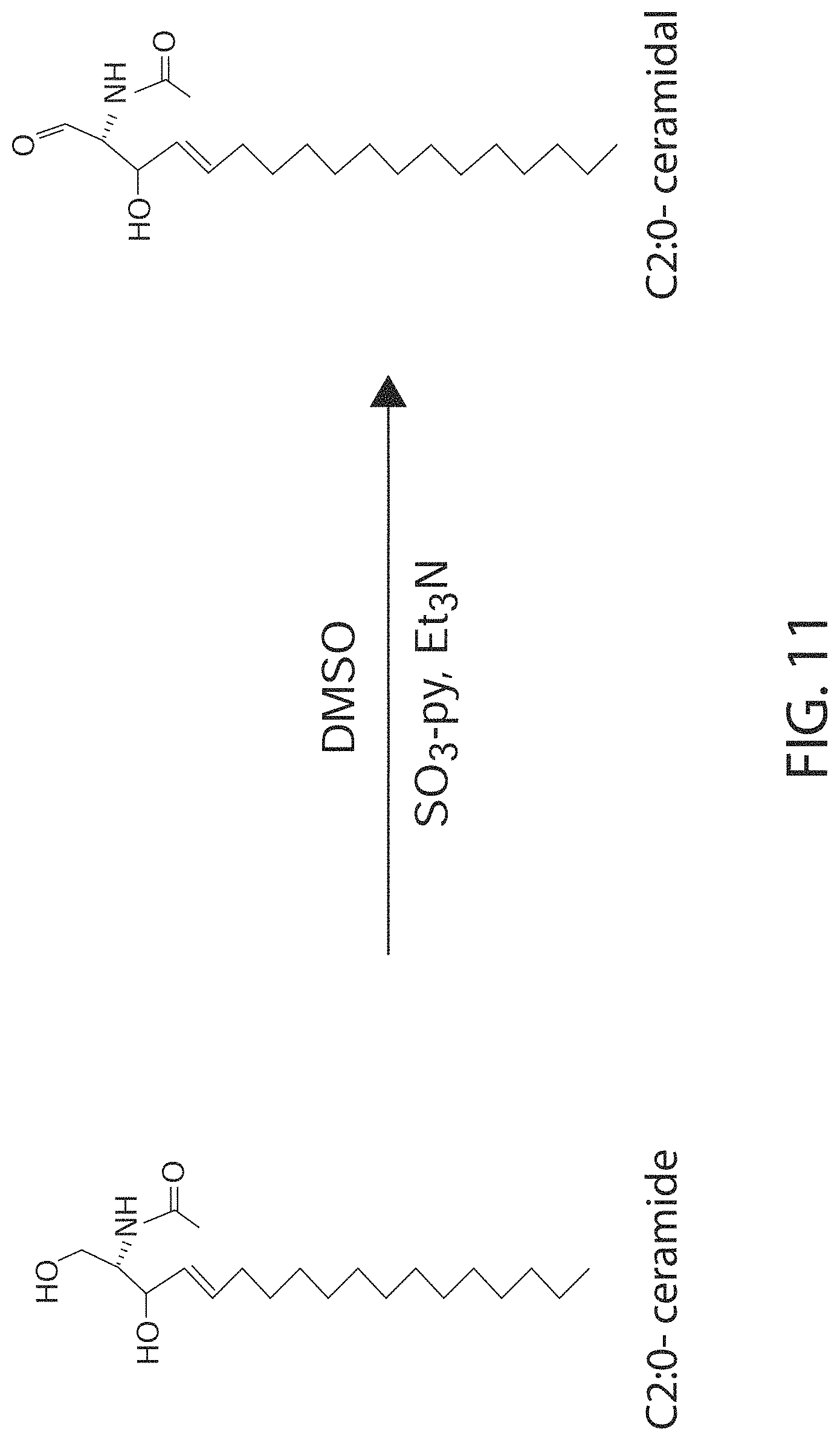 Patent US11771771 Figure 13 – Ceramide-like lipid-based delivery vehicles and uses thereof