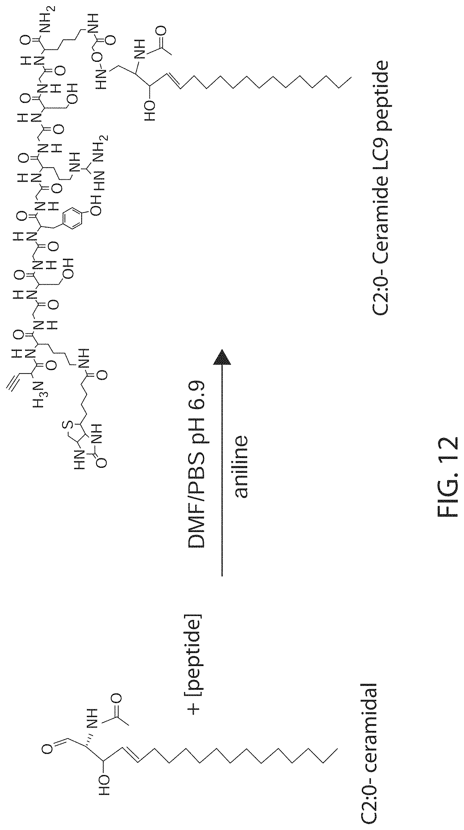 Patent US11771771 Figure 14 – Ceramide-like lipid-based delivery vehicles and uses thereof