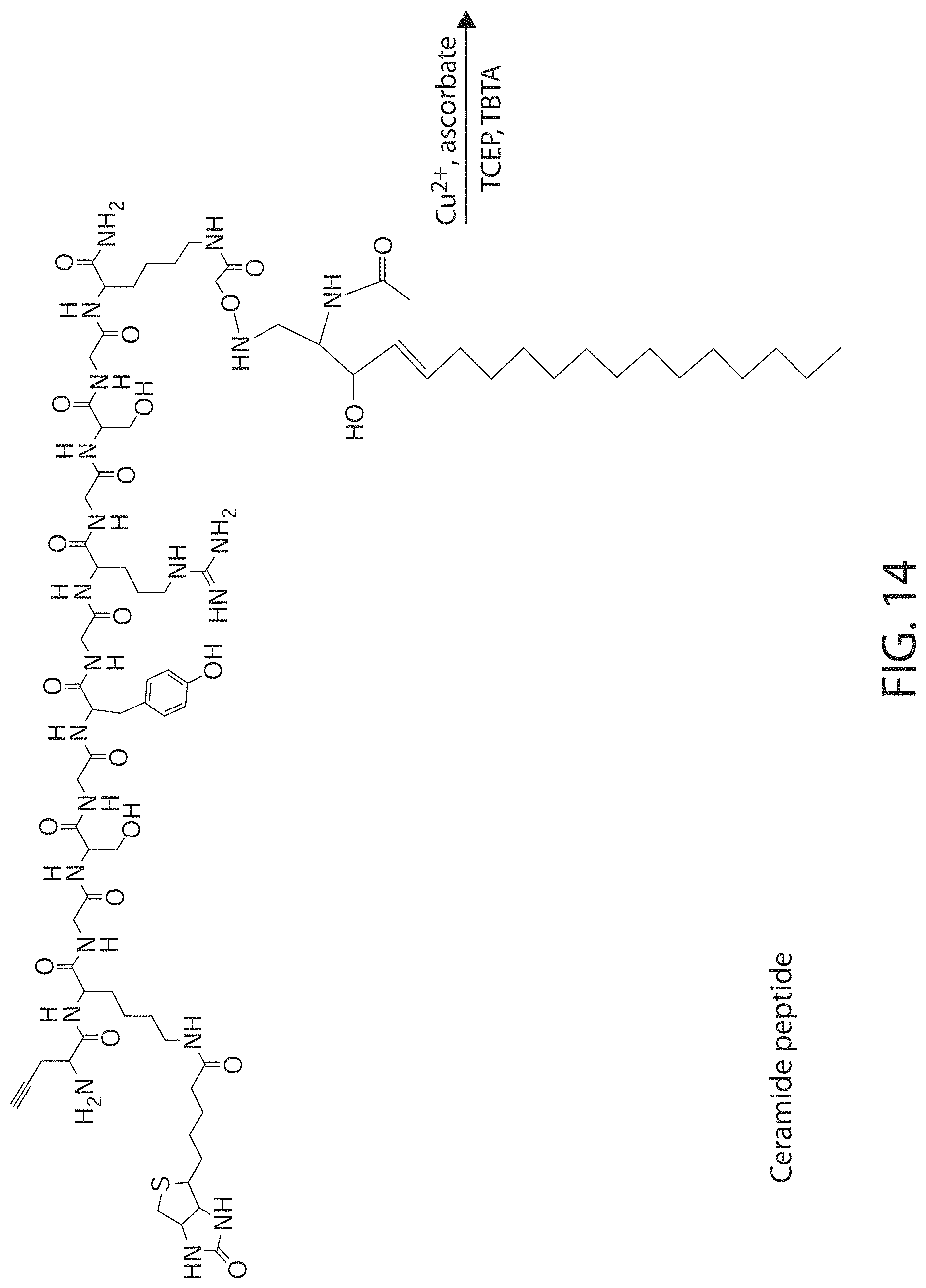 Patent US11771771 Figure 17 – Ceramide-like lipid-based delivery vehicles and uses thereof