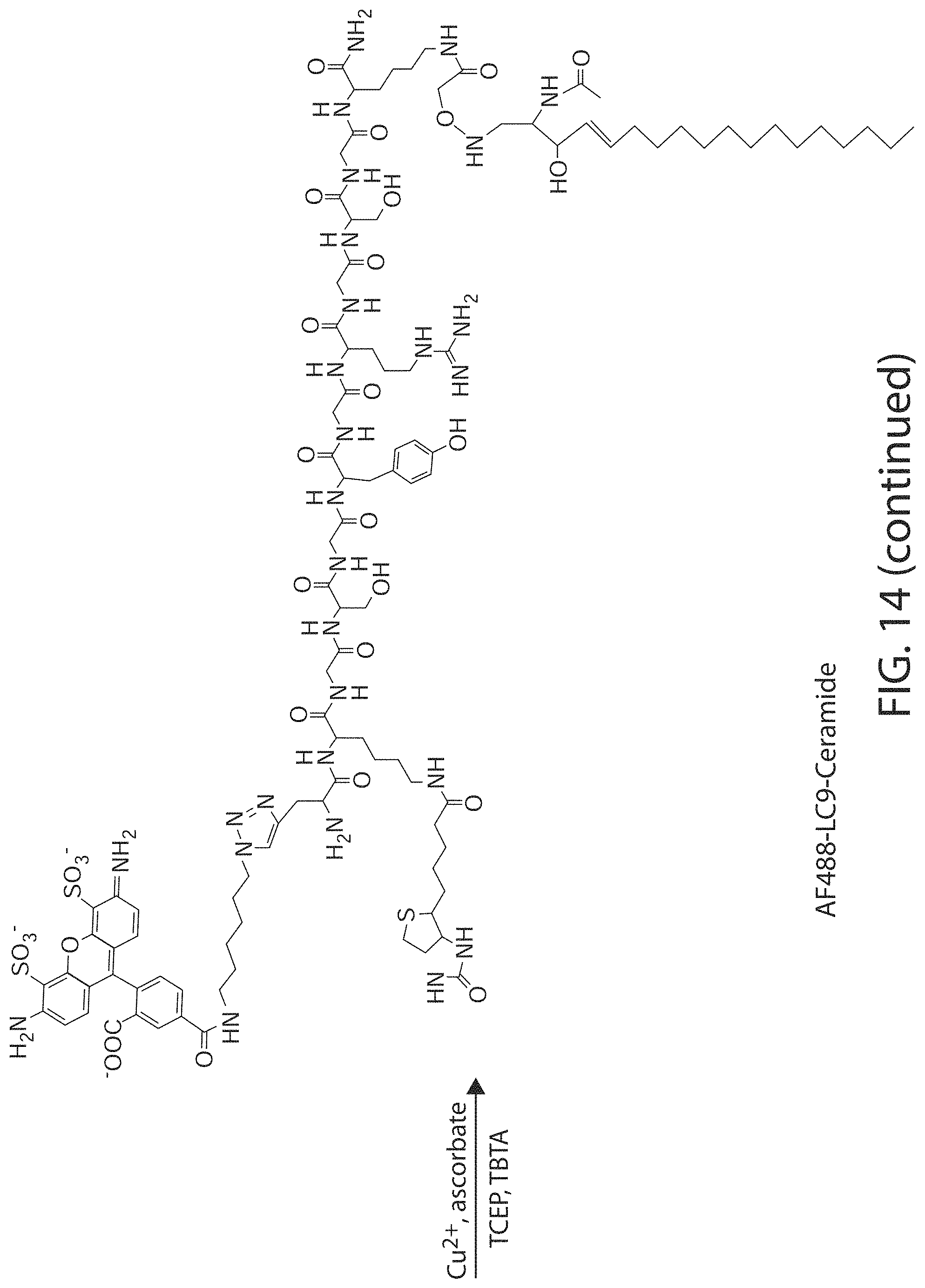 Patent US11771771 Figure 18 – Ceramide-like lipid-based delivery vehicles and uses thereof