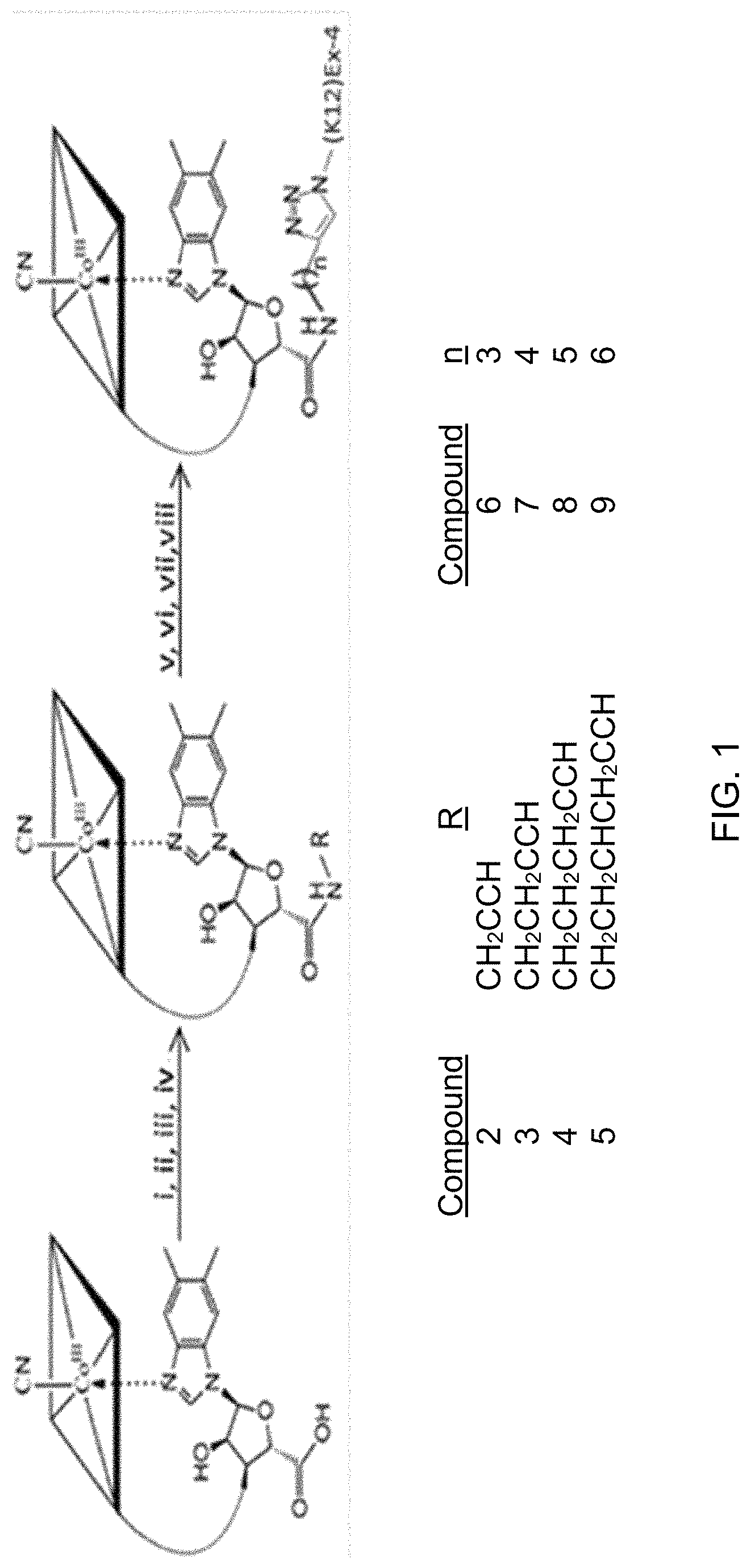 Patent US11771772 Figure 1 – Glycemic control using intrinsic factor bound to a vitamin B 12 conjugate of a glucagon-like peptide-1 receptor agonist