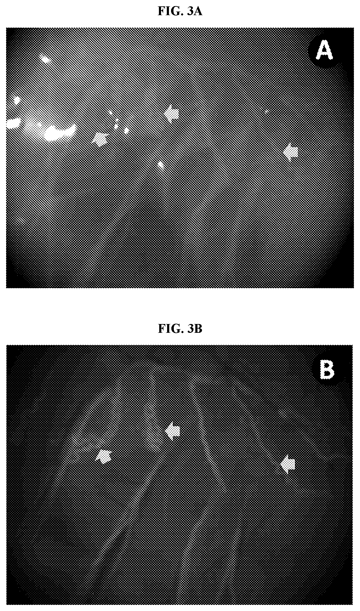 Patent US11771774 Figure 3 – Nerve labeling compositions and uses thereof