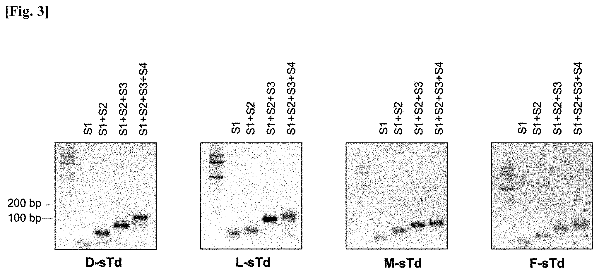Patent US11771777 Figure 3 – Three-dimensional self-assembled nucleic acid nanoparticles and use thereof