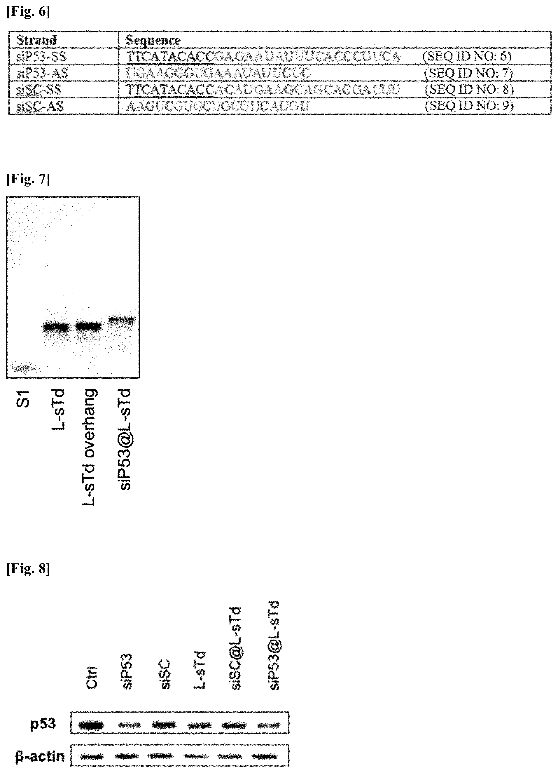 Patent US11771777 Figure 6 – Three-dimensional self-assembled nucleic acid nanoparticles and use thereof