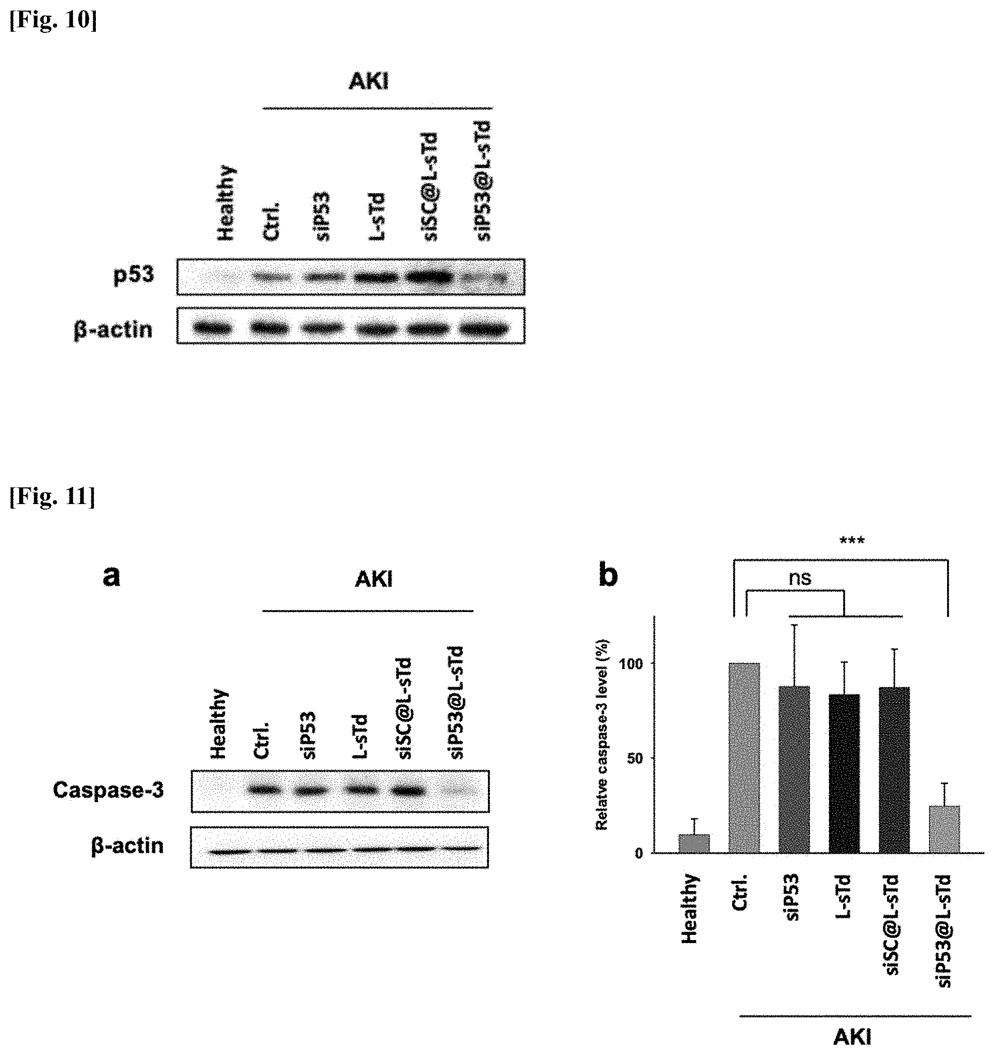 Patent US11771777 Figure 8 – Three-dimensional self-assembled nucleic acid nanoparticles and use thereof