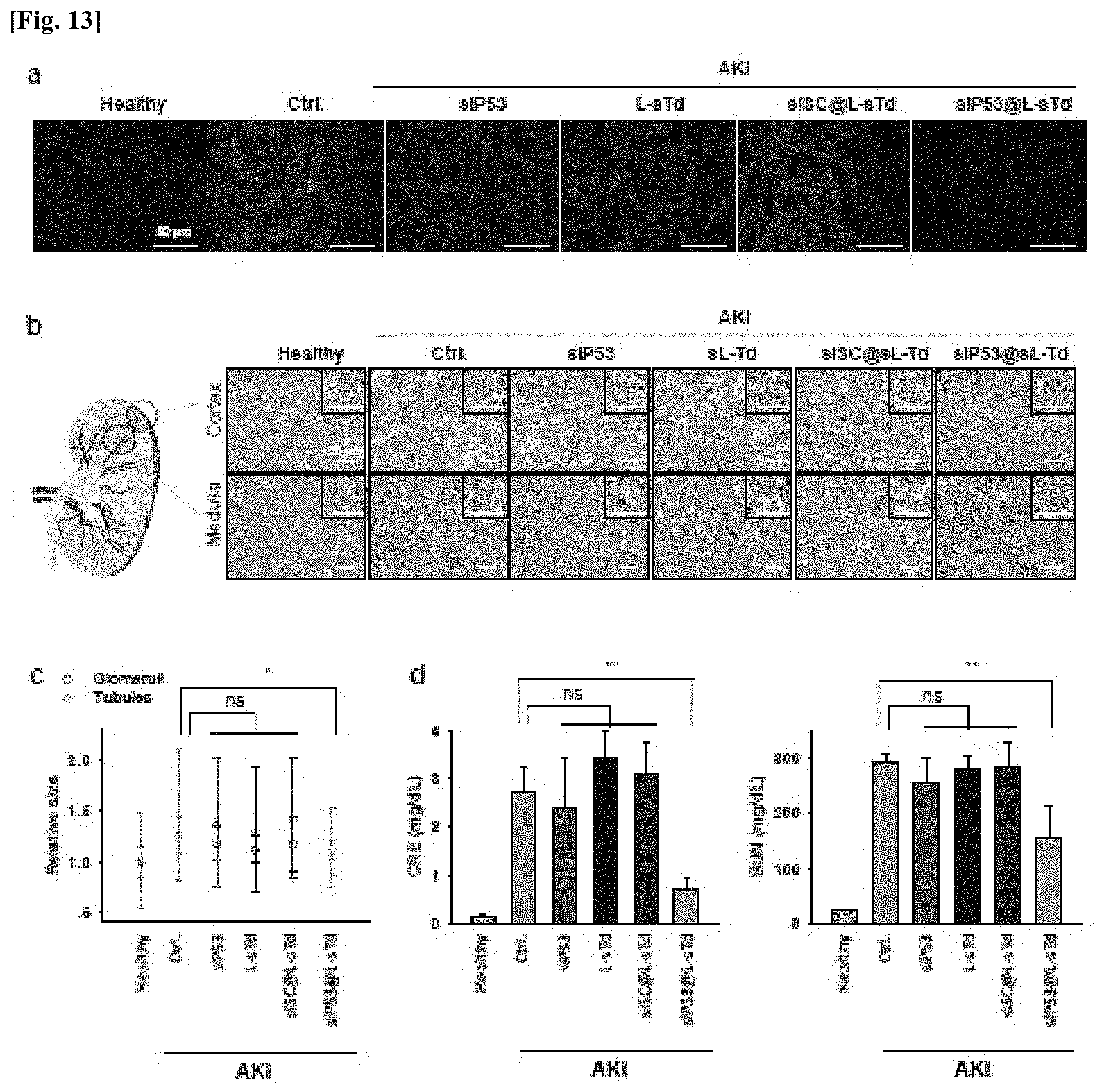 Patent US11771777 Figure 10 – Three-dimensional self-assembled nucleic acid nanoparticles and use thereof