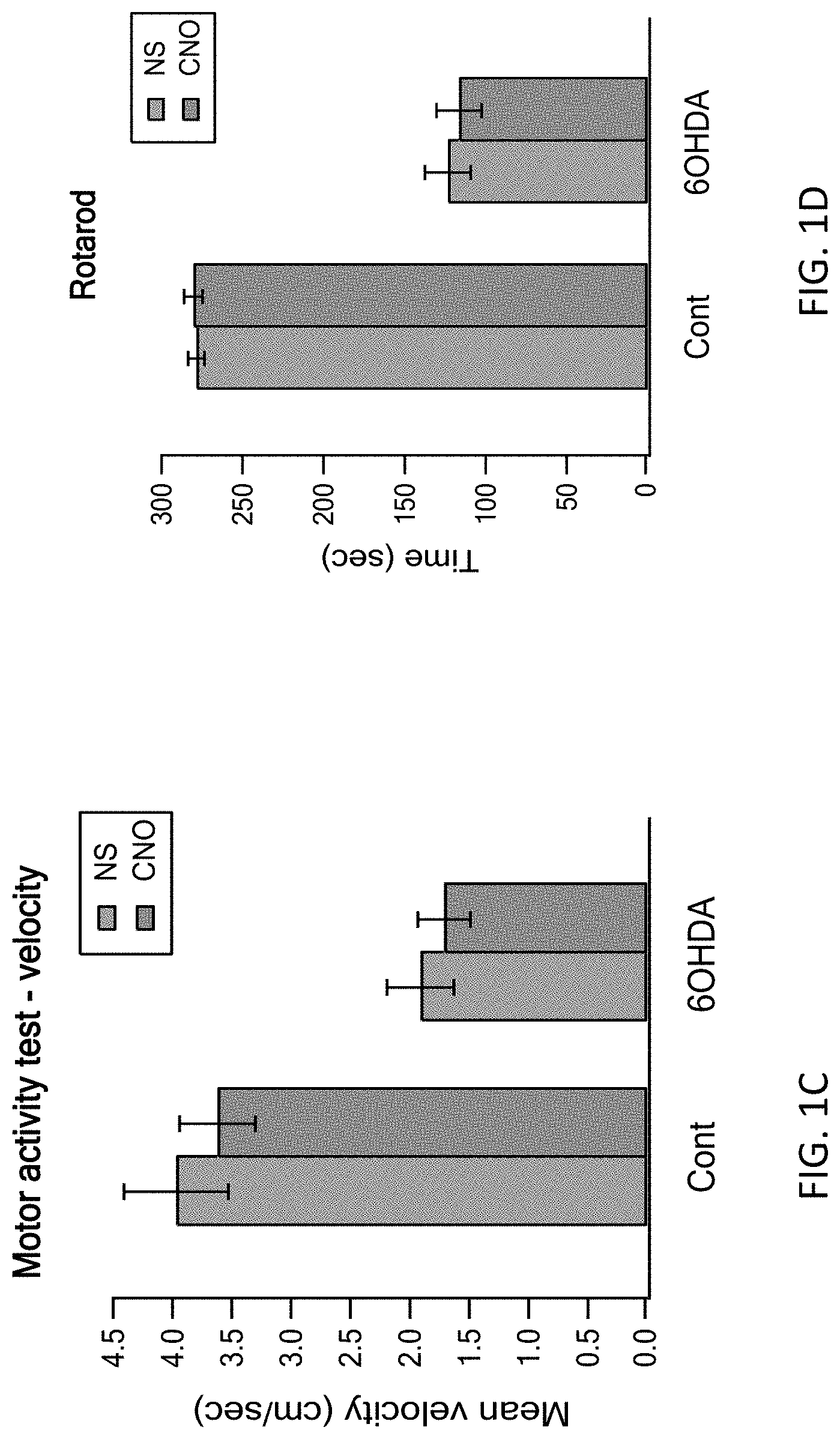 Patent US11771778 Figure 2 – Using DREADD for neuronal modulation in treating neuronal diseases