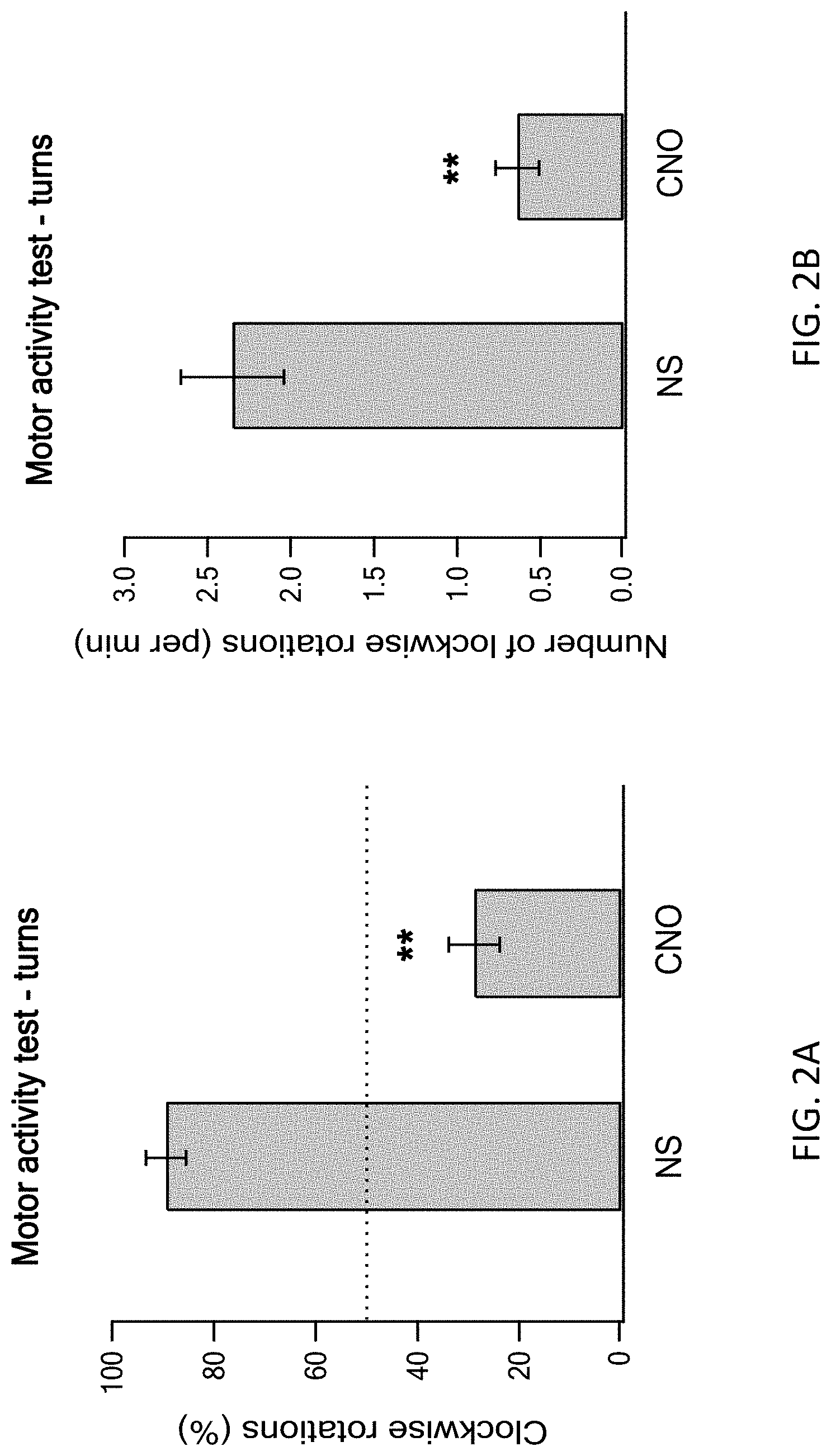 Patent US11771778 Figure 3 – Using DREADD for neuronal modulation in treating neuronal diseases