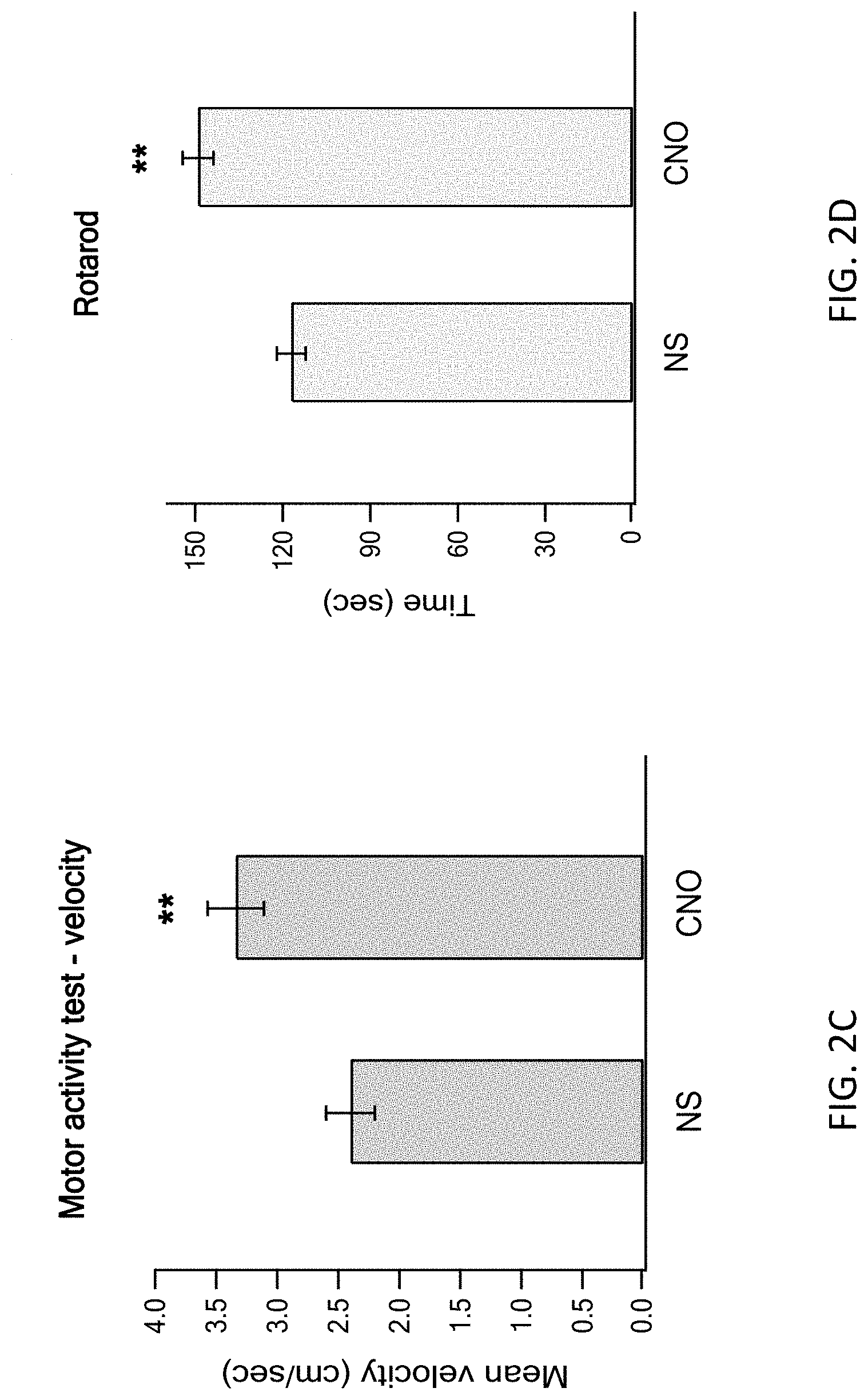 Patent US11771778 Figure 4 – Using DREADD for neuronal modulation in treating neuronal diseases