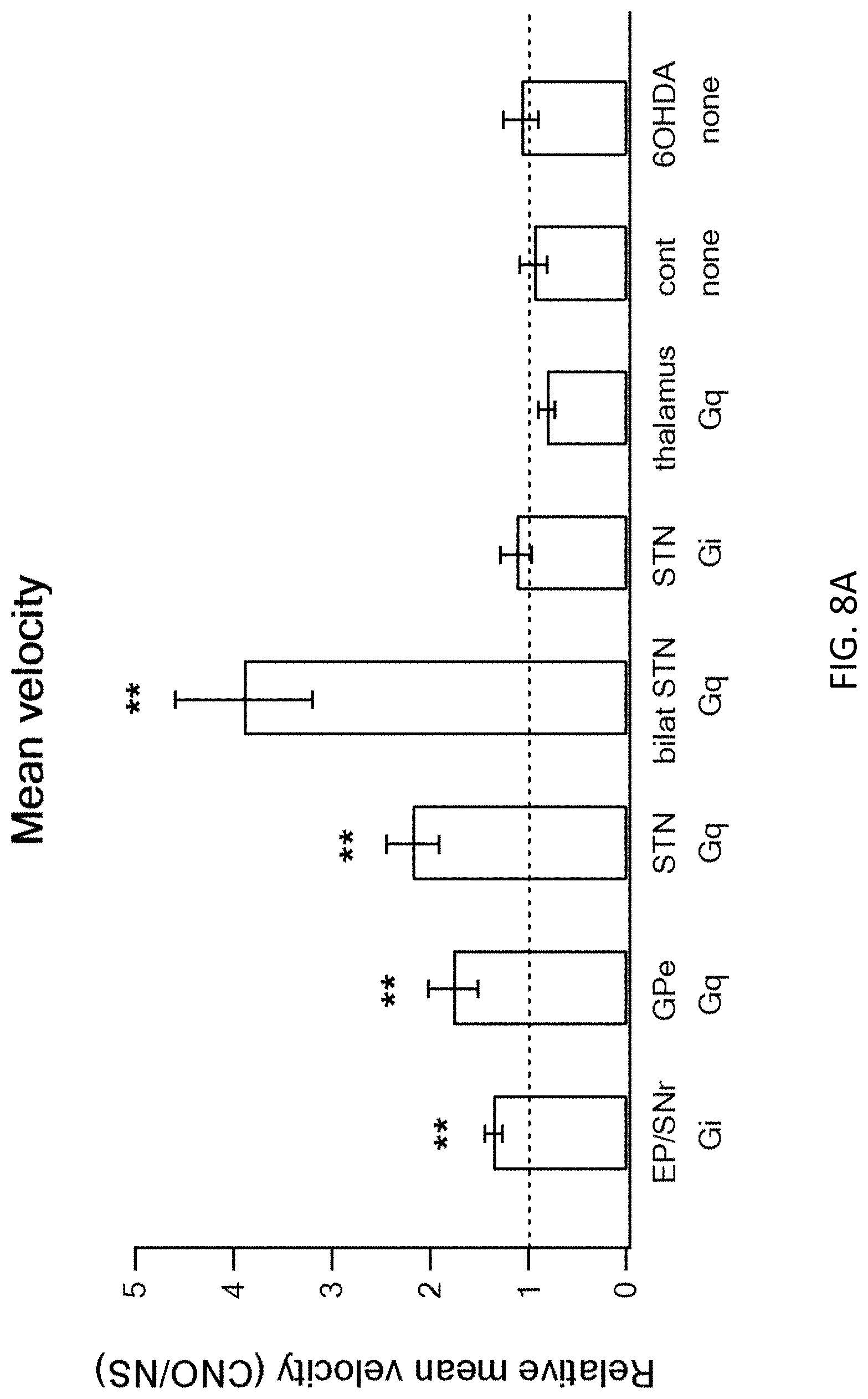 Patent US11771778 Figure 12 – Using DREADD for neuronal modulation in treating neuronal diseases