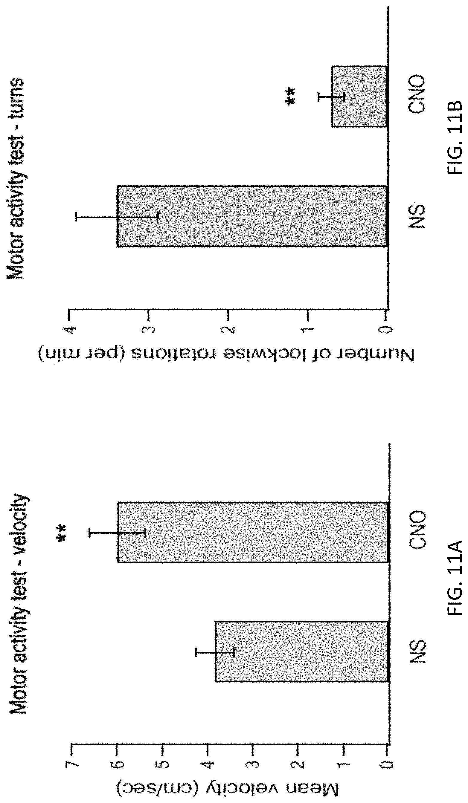 Patent US11771778 Figure 19 – Using DREADD for neuronal modulation in treating neuronal diseases