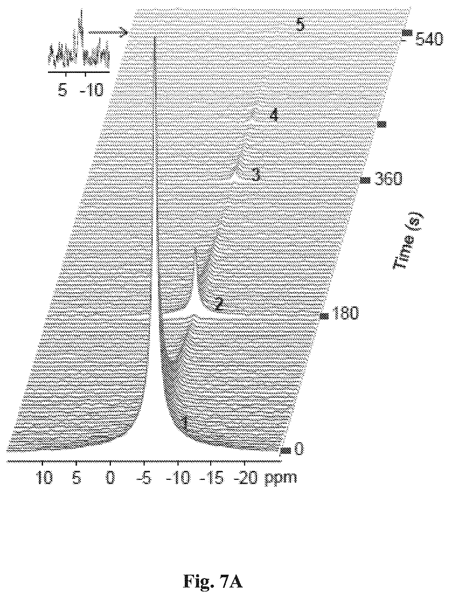 Patent US11771779 Figure 7 – Non-metallic magnetic resonance contrast agent