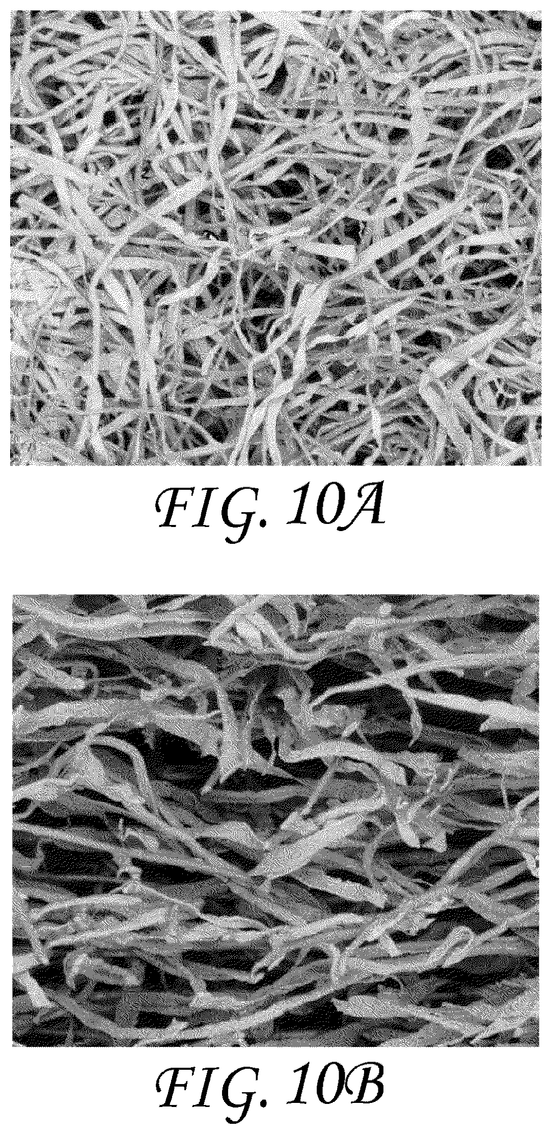 Patent US11771796 Figure 17 – Wound dressing and method of treatment