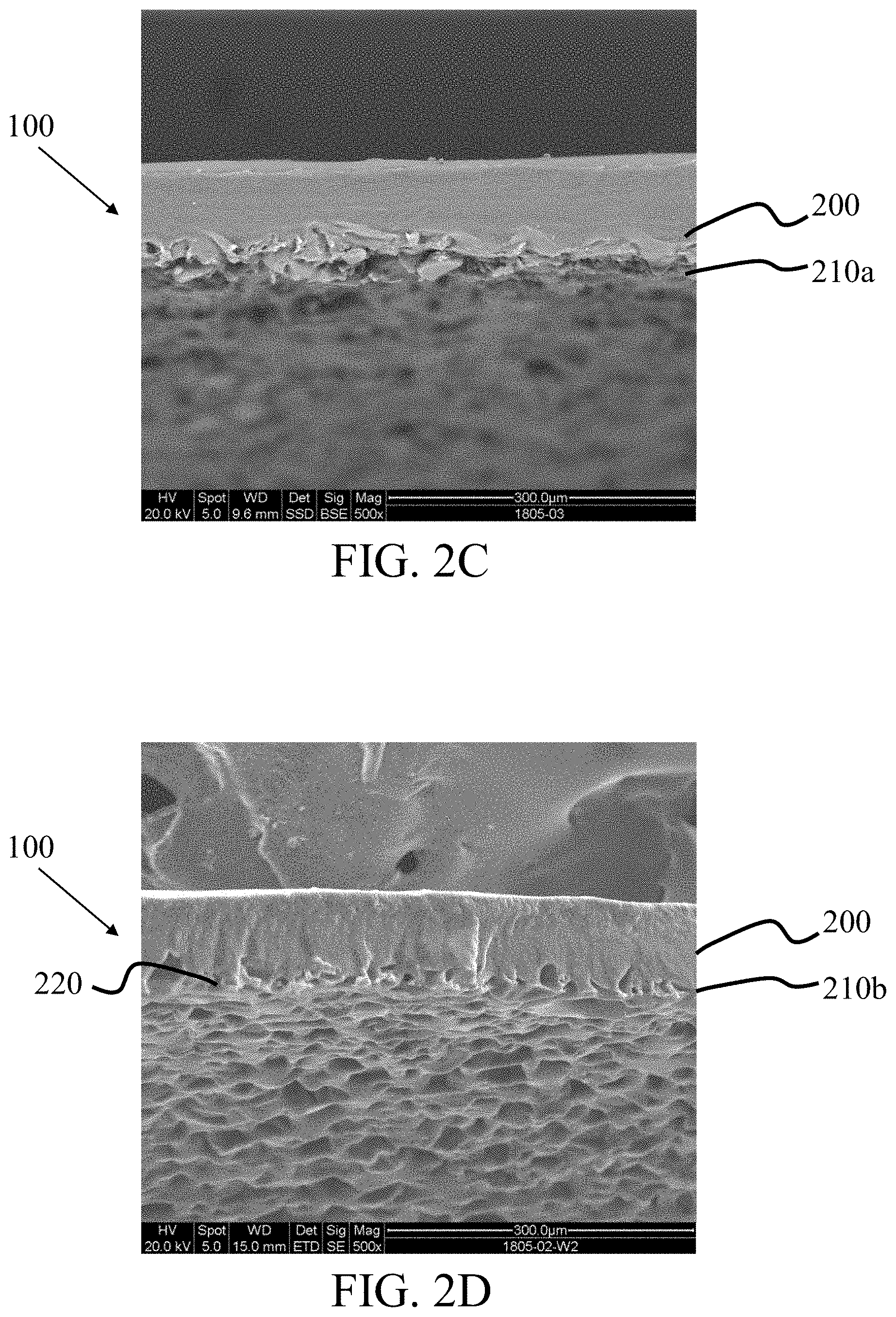 Patent US11771799 Figure 3 – Method for preparation of tissue adhesive patches