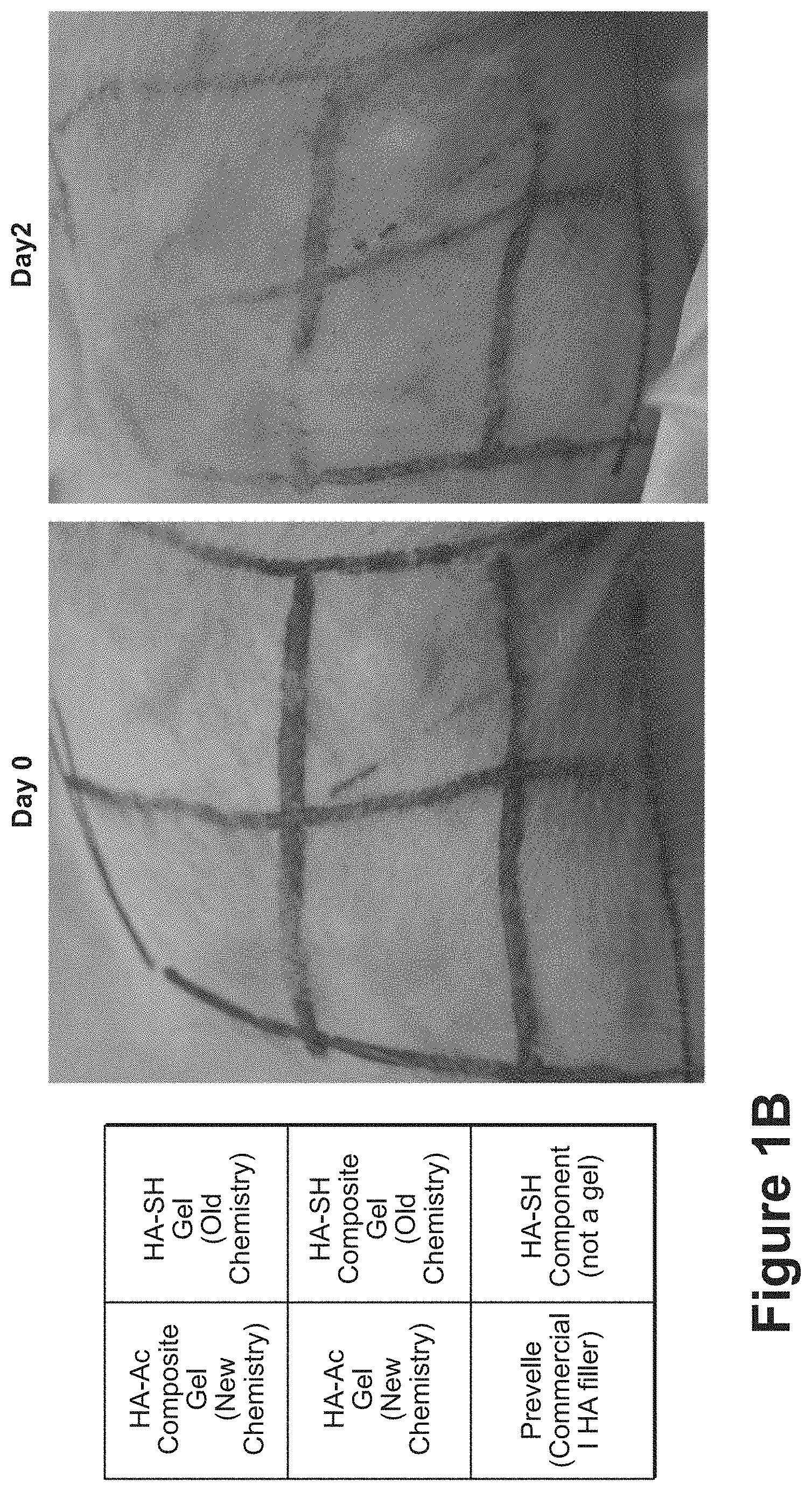 Patent US11771807 Figure 2 – Nanofiber-hydrogel composites for cell and tissue delivery