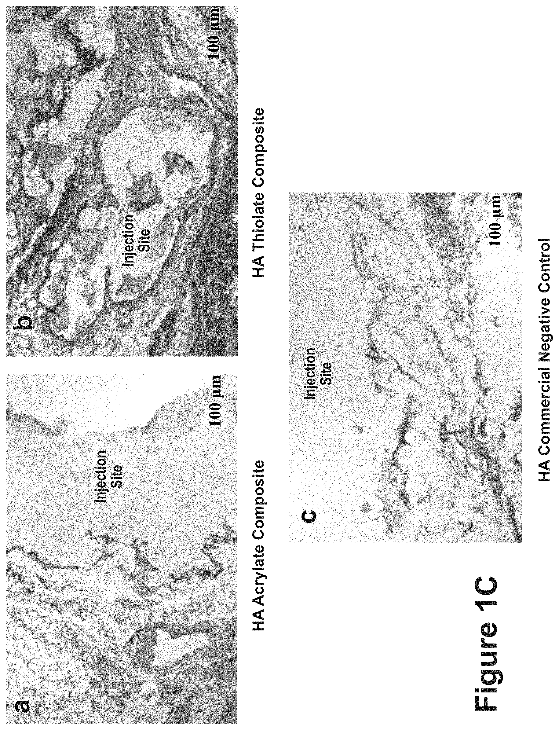 Patent US11771807 Figure 3 – Nanofiber-hydrogel composites for cell and tissue delivery