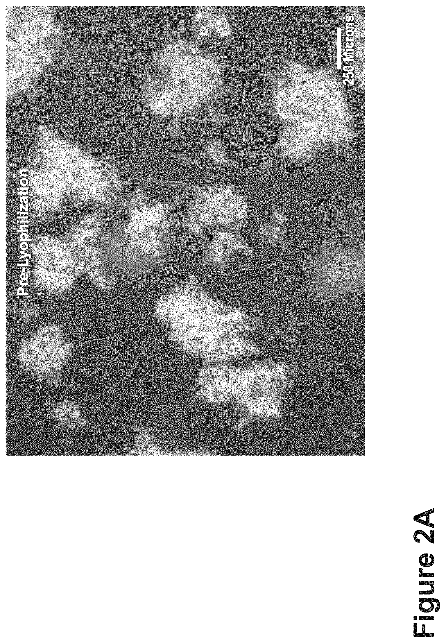 Patent US11771807 Figure 6 – Nanofiber-hydrogel composites for cell and tissue delivery